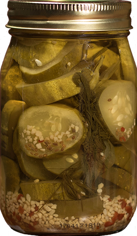 10302-spicy-garlic-dill-pickles-16oz-no-label.png