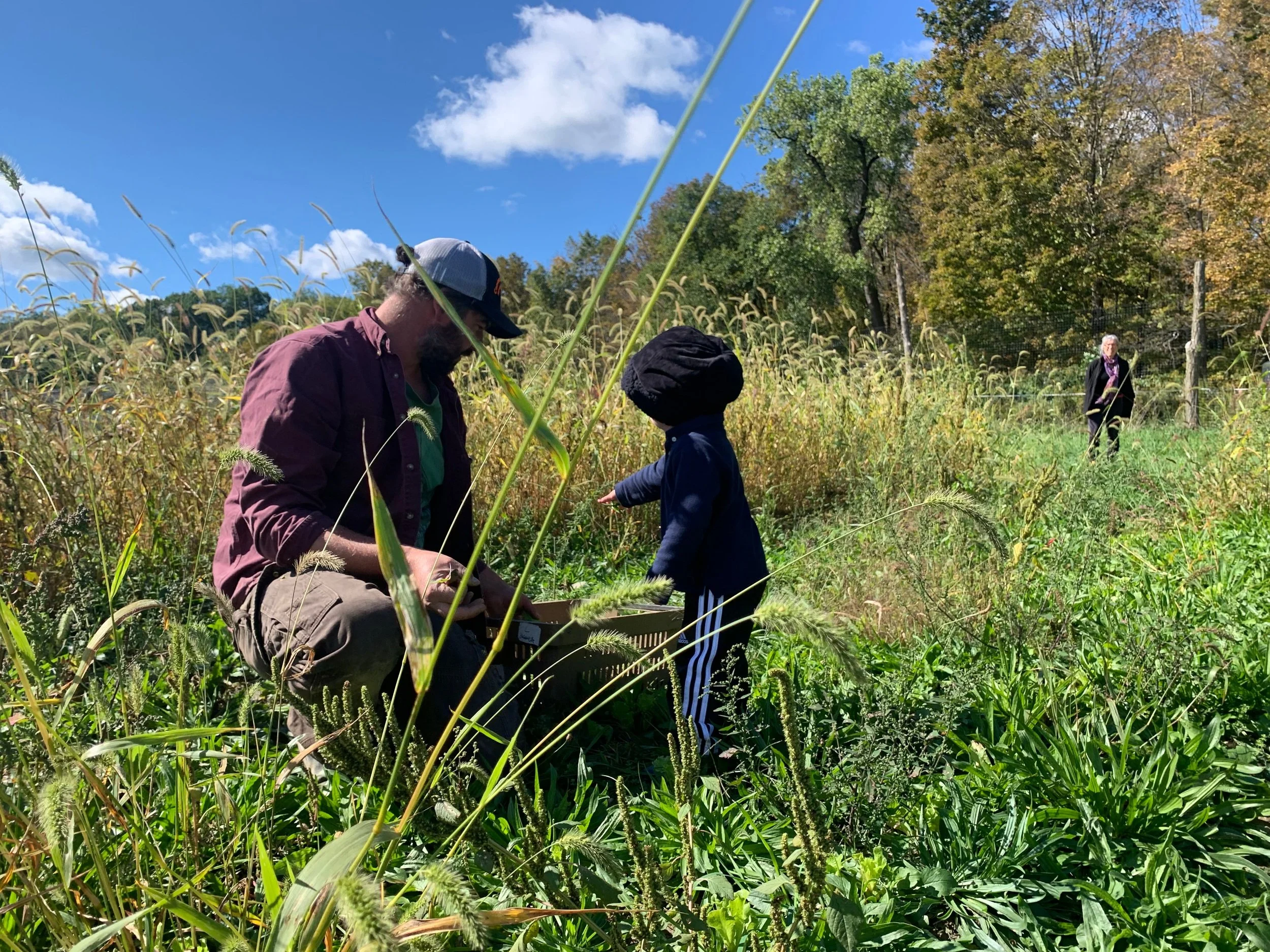 Common Hands Farm Certified Naturally Grown Philmont, NY