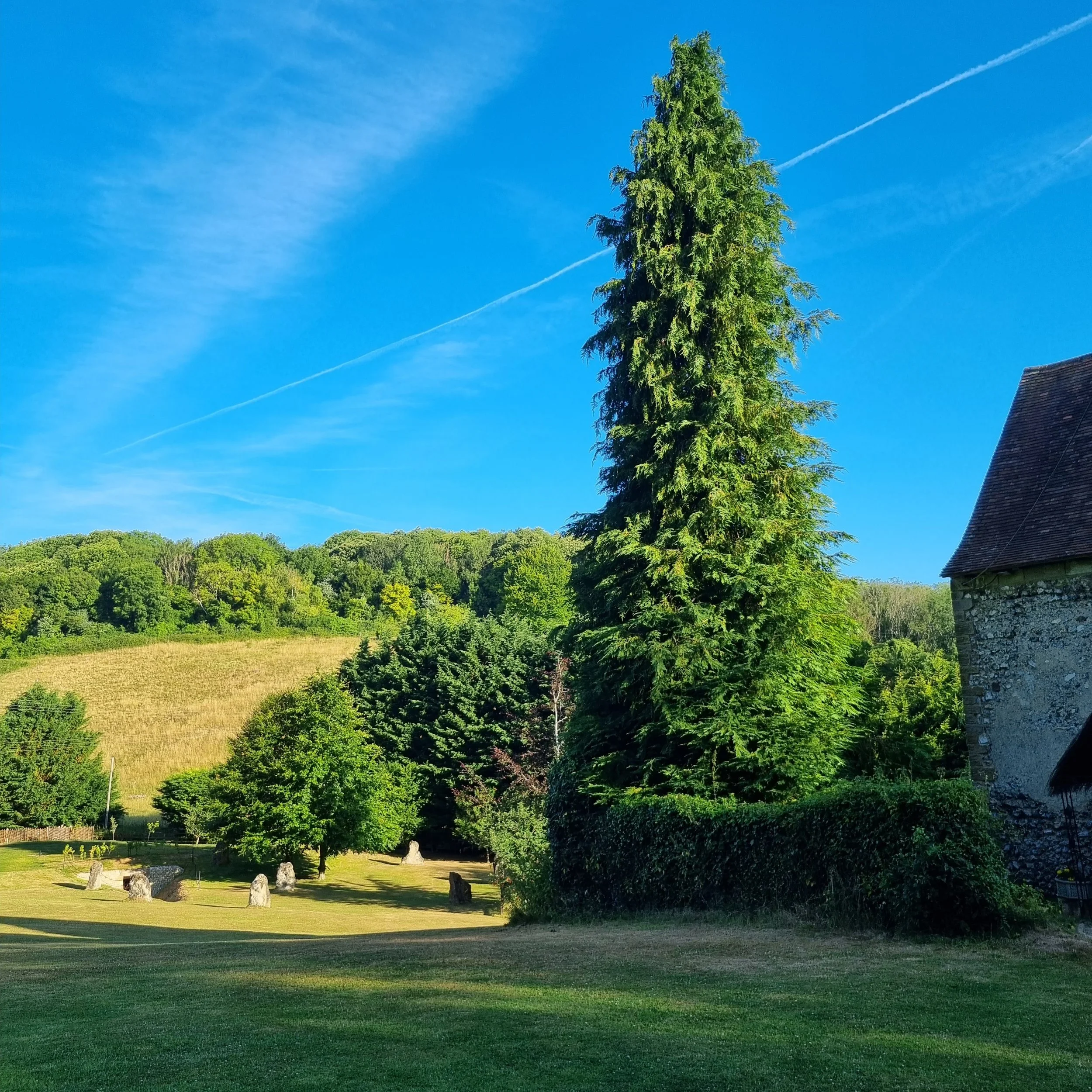 2022-07-16 071125.jpg