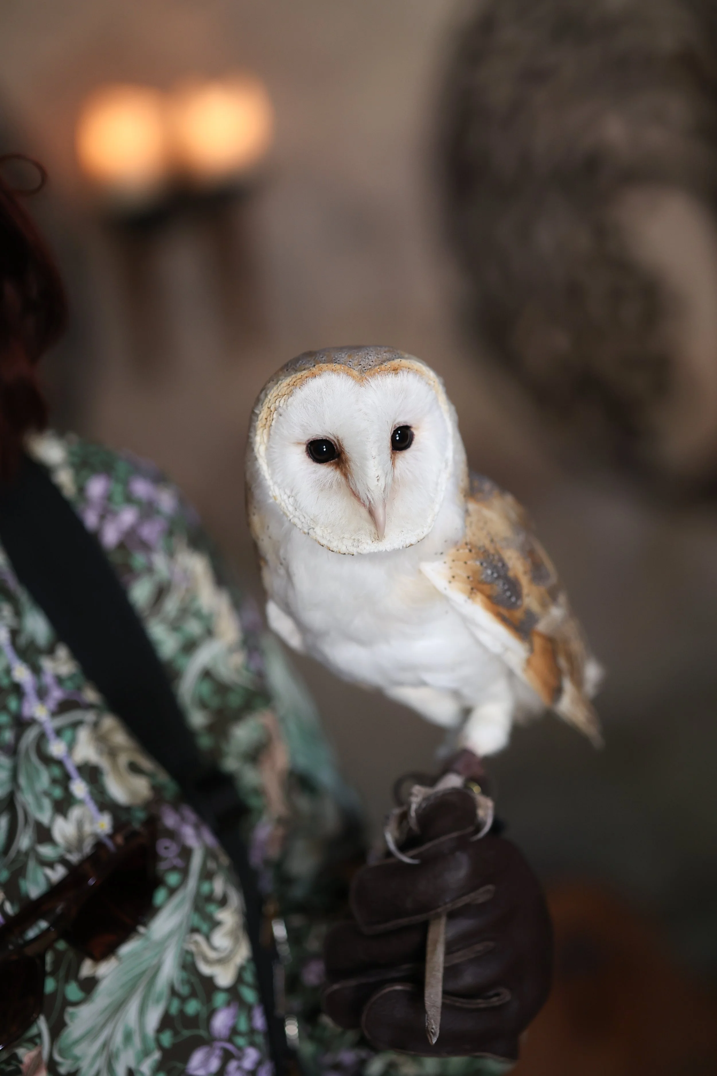 2022-07-16 Andrew and Juliet Dode 16th July 2022-94.jpg