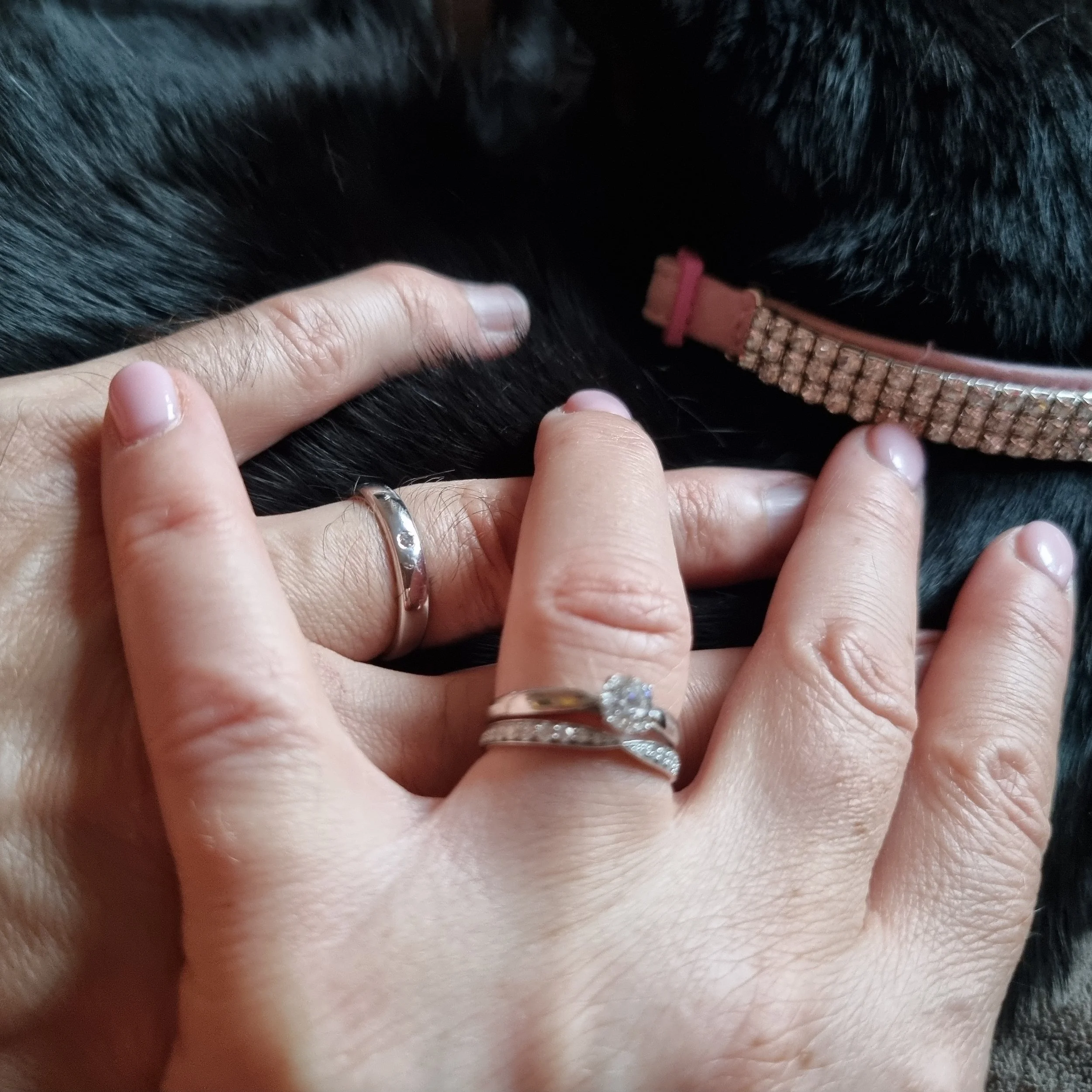 2022-07-20 202013.jpg