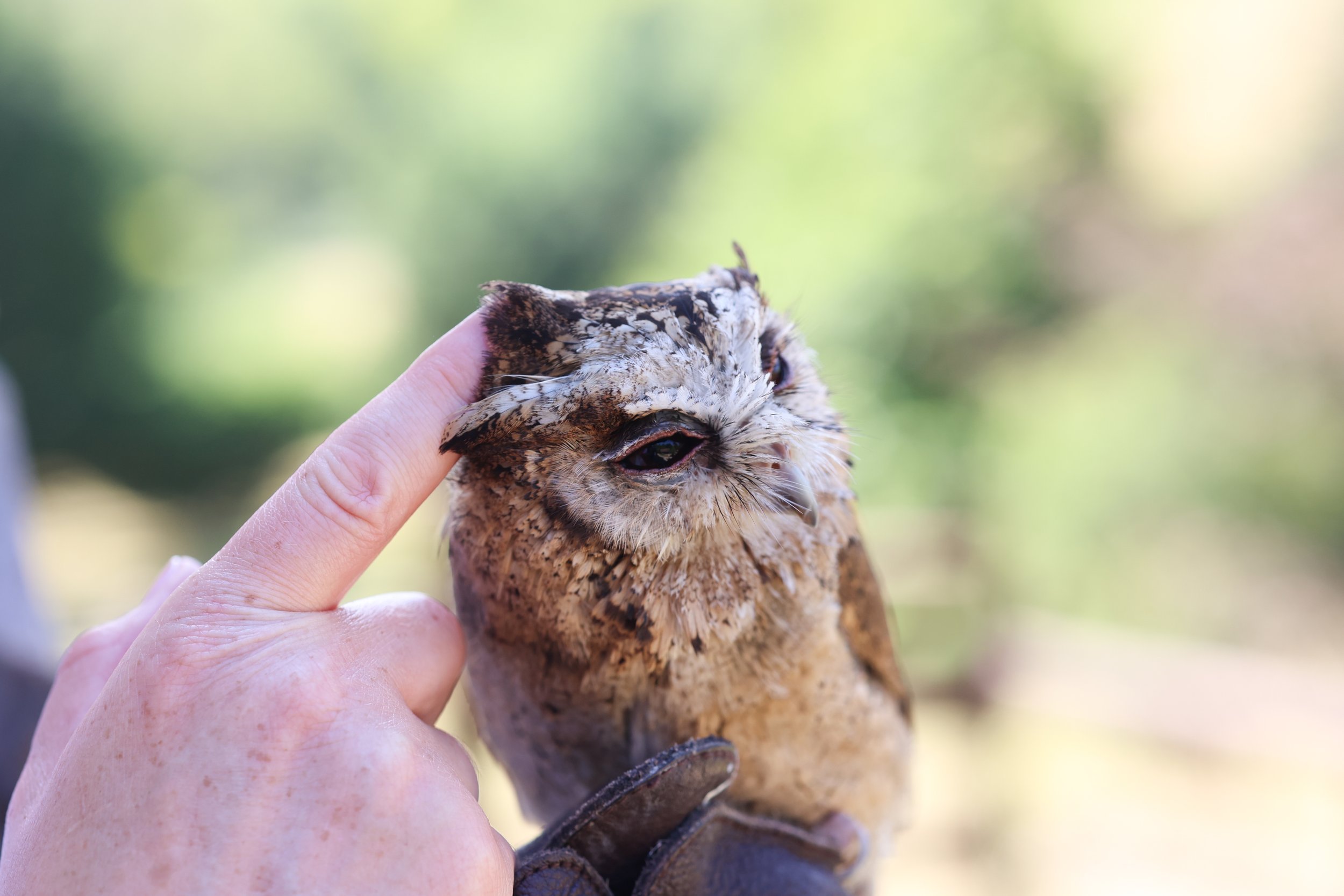 2022-07-16 Andrew and Juliet Dode 16th July 2022-966.jpg