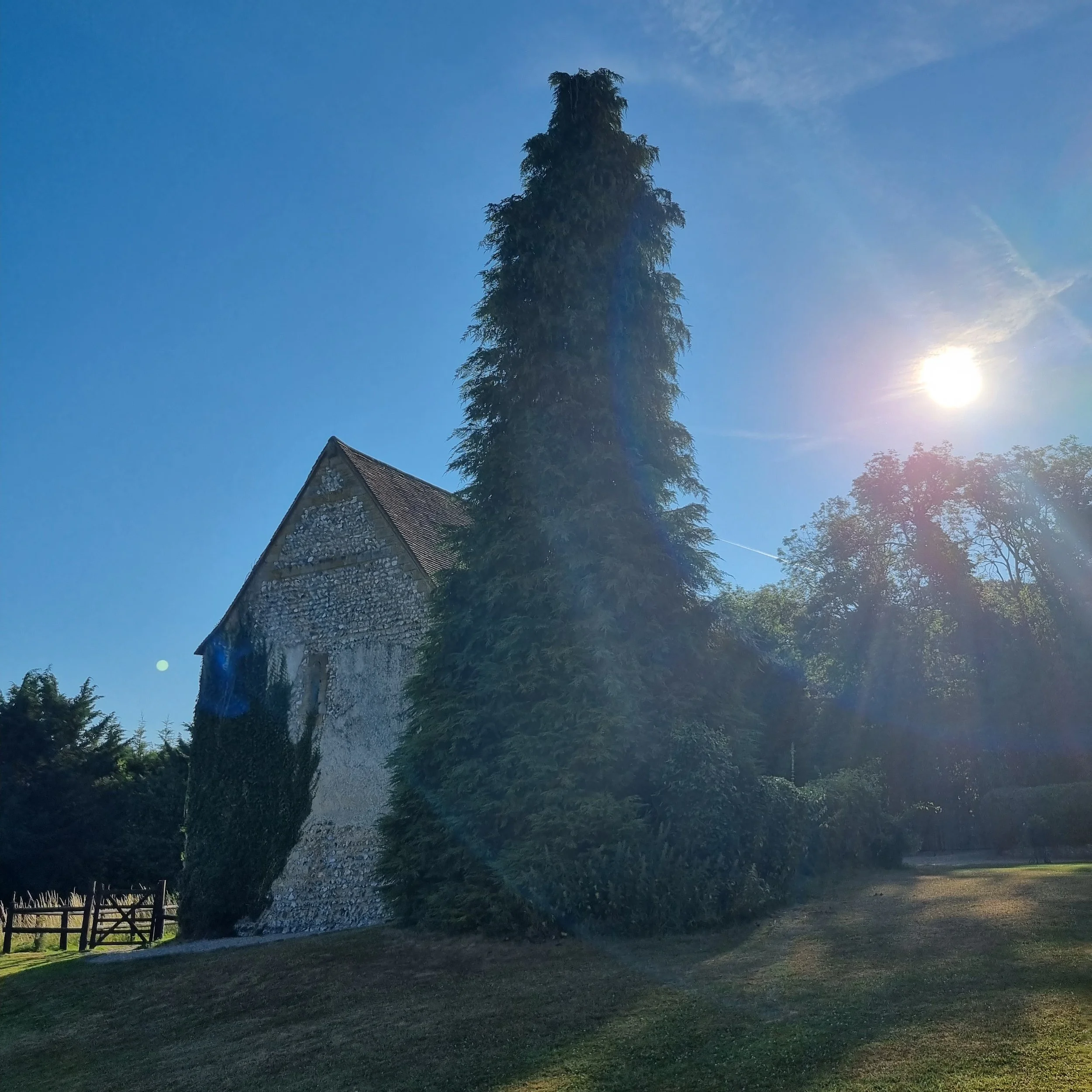 2022-07-16 074924.jpg