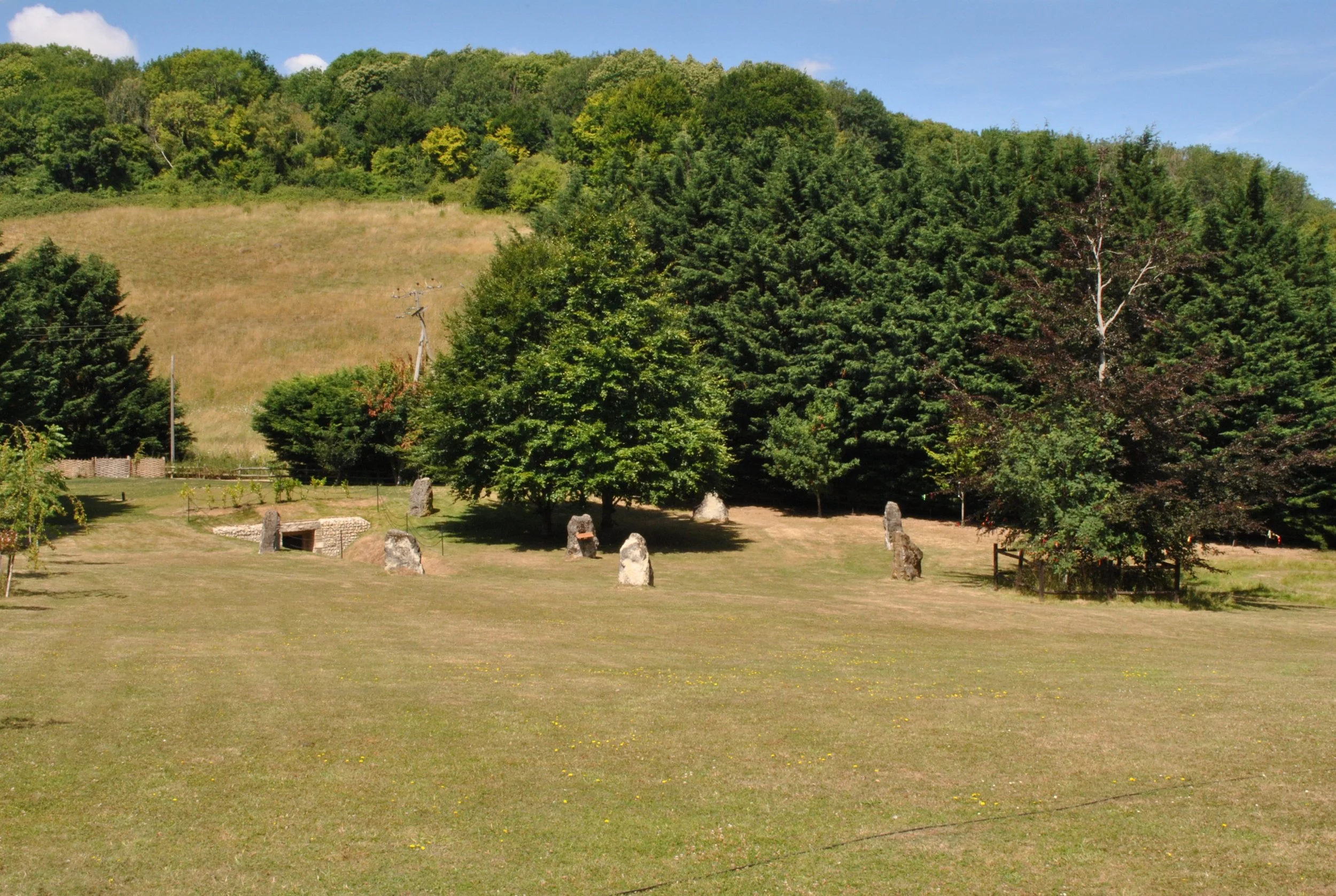 2022-07-16 1208 DSC_0146.JPG