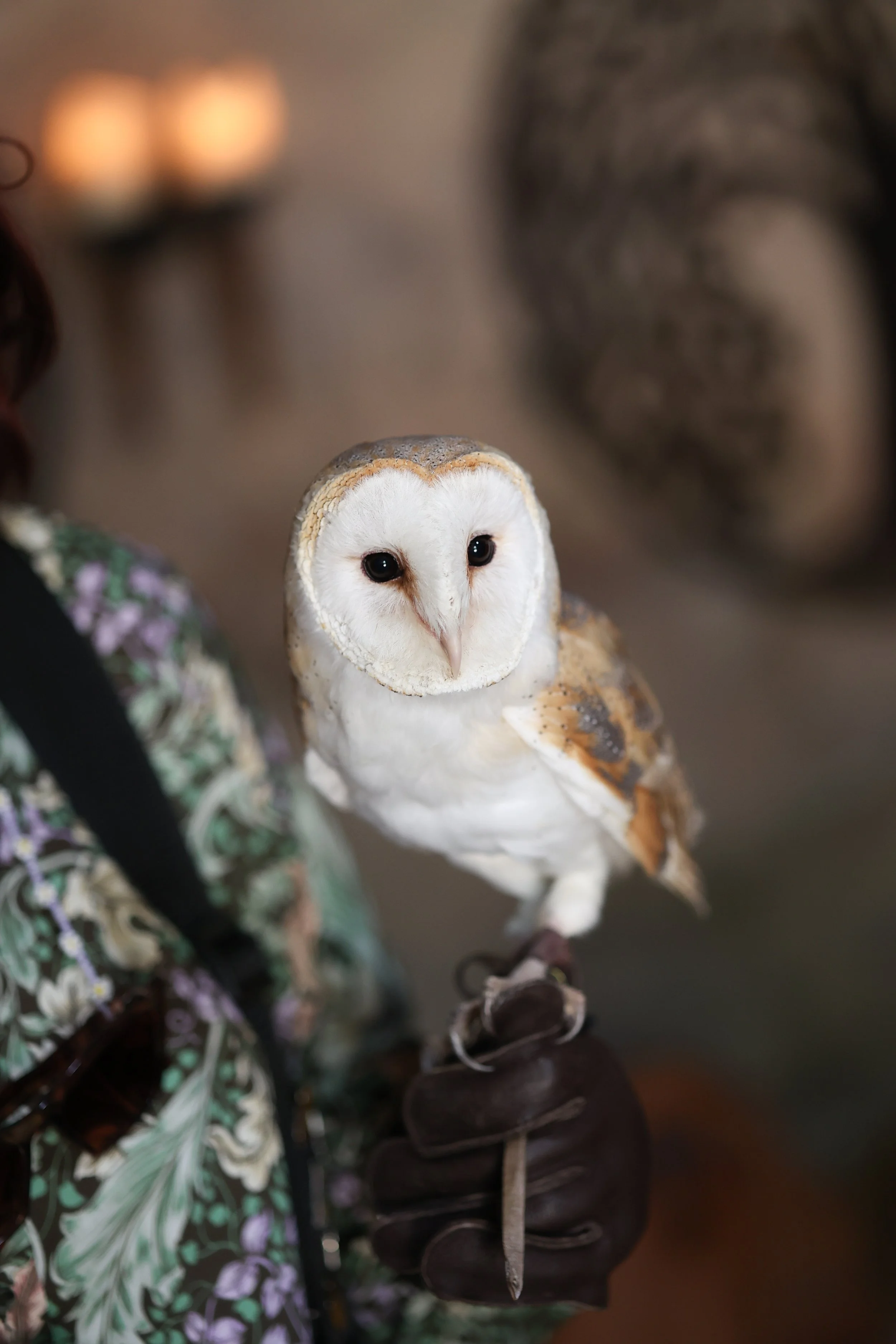 2022-07-16 Andrew and Juliet Dode 16th July 2022-93.jpg