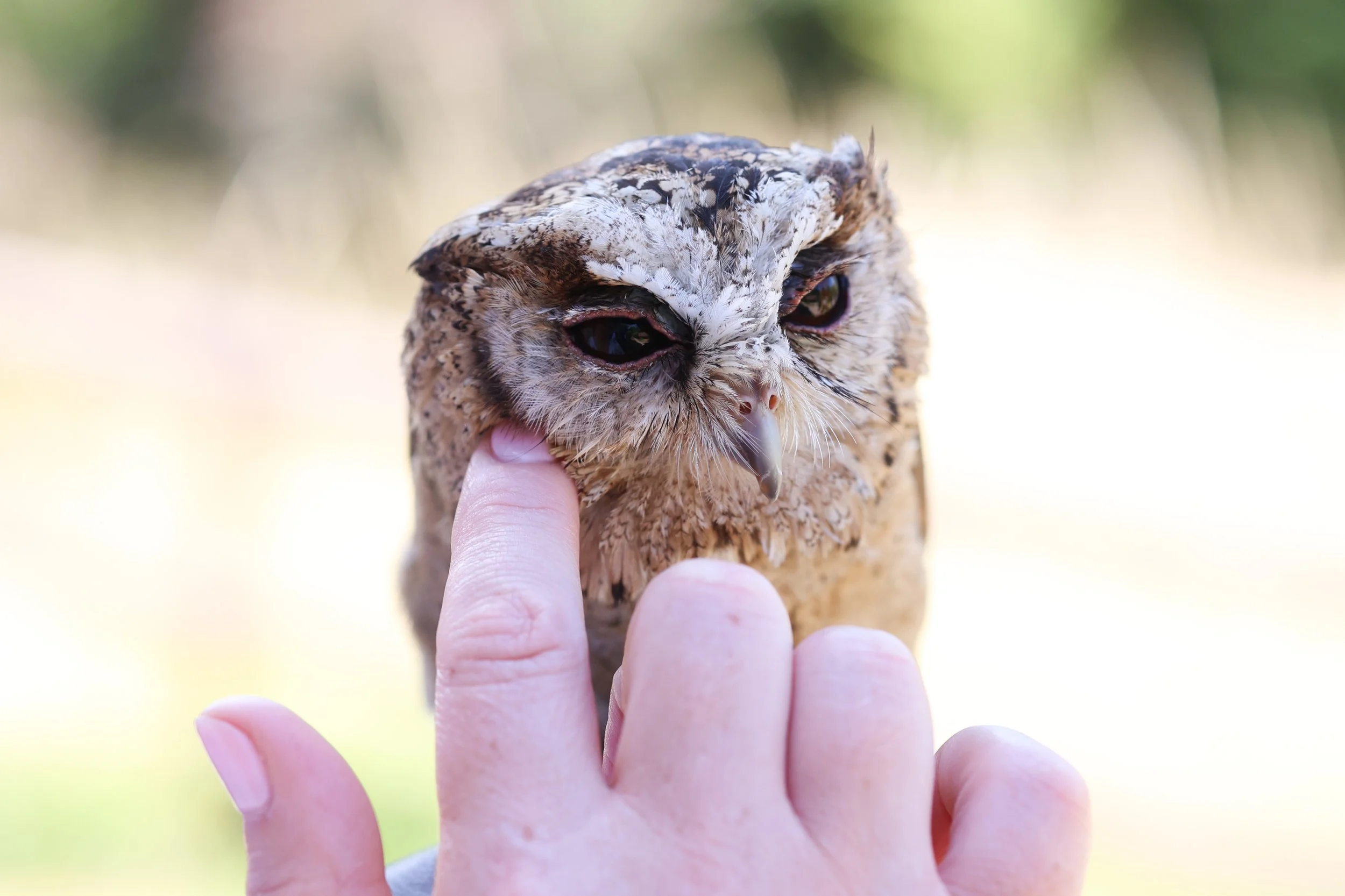 2022-07-16 Andrew and Juliet Dode 16th July 2022-962.jpg