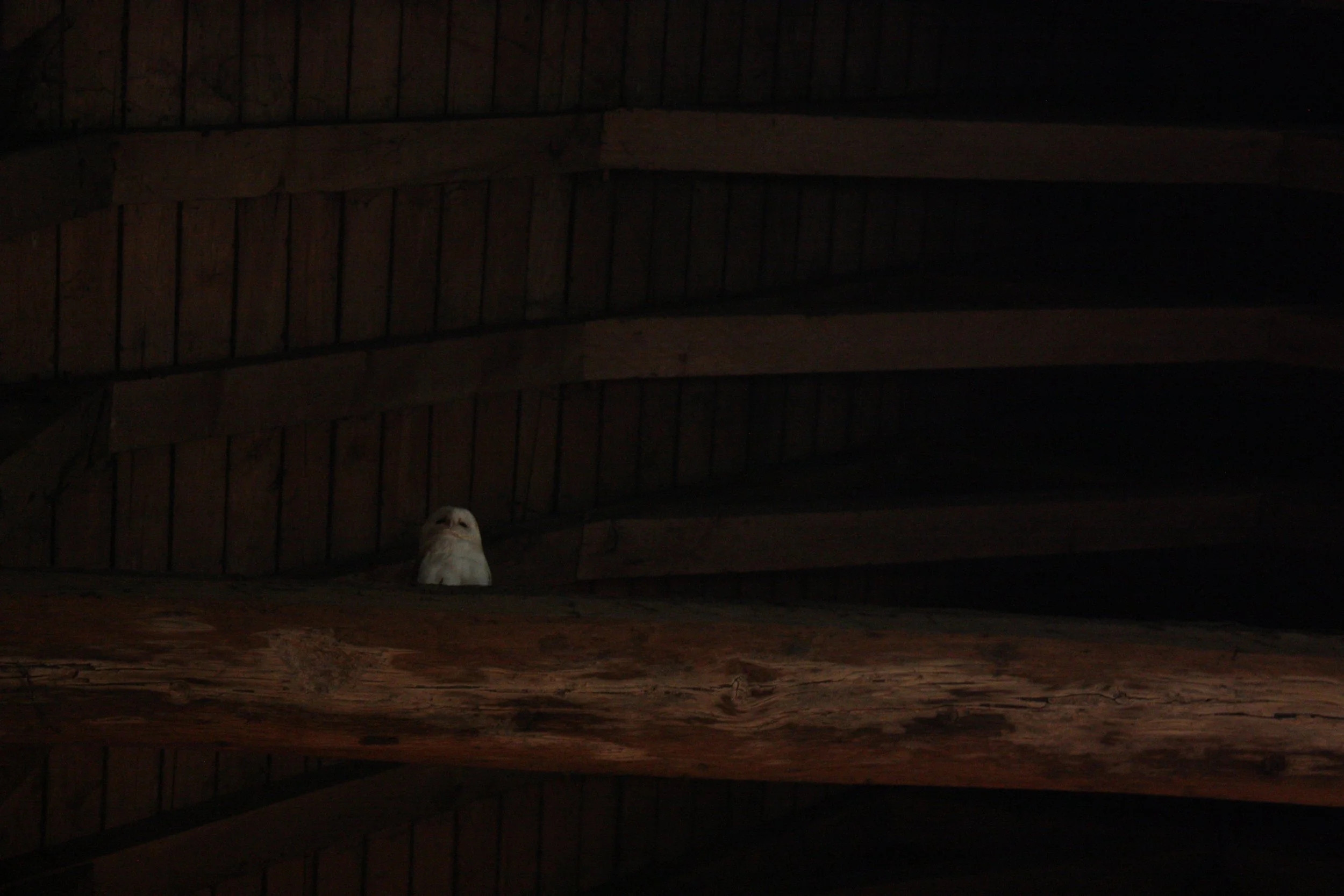 2022-07-16 1158 102.JPG