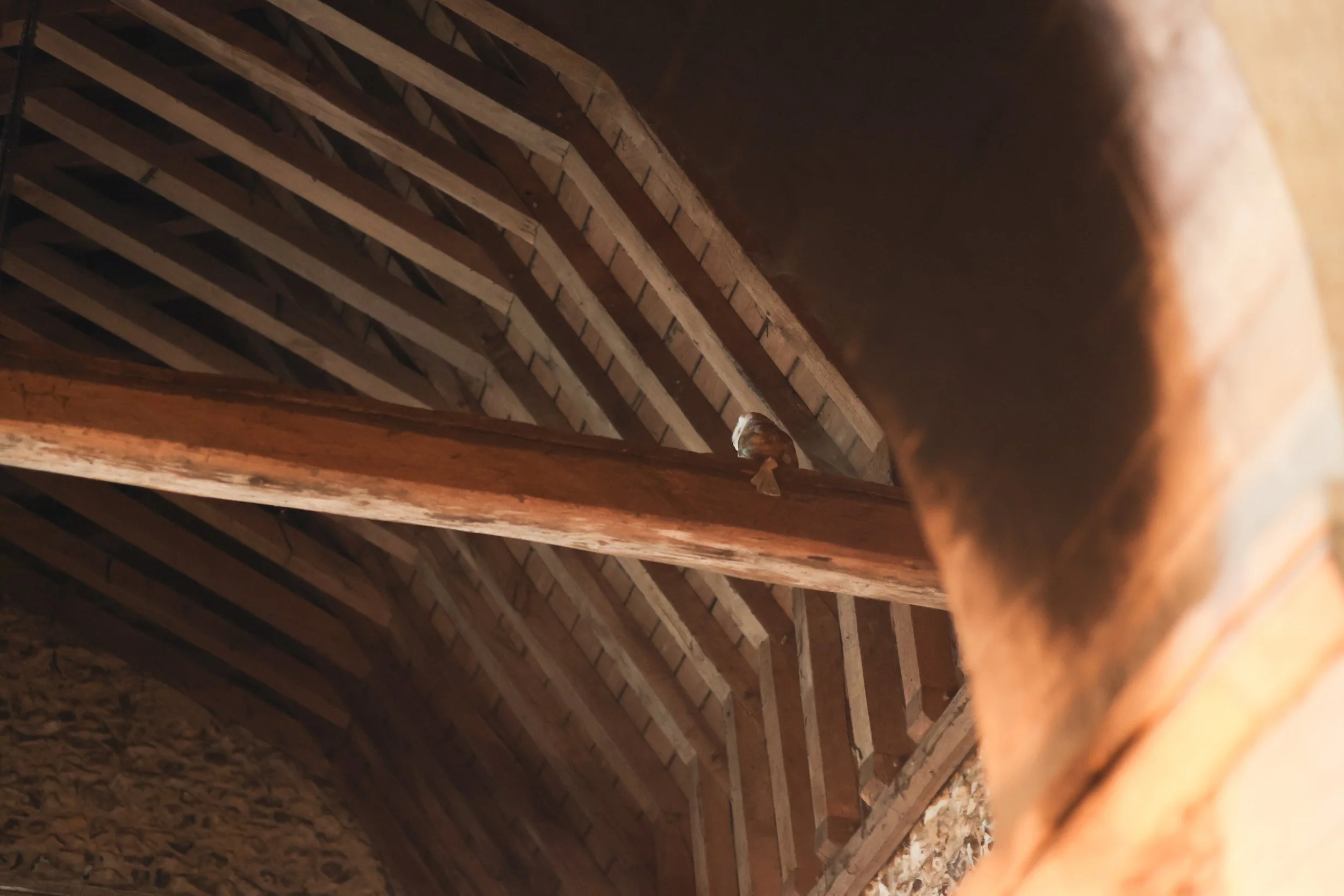 2022-07-16 1250 Andrew and Juliet Dode 16th July 2022-414.jpg