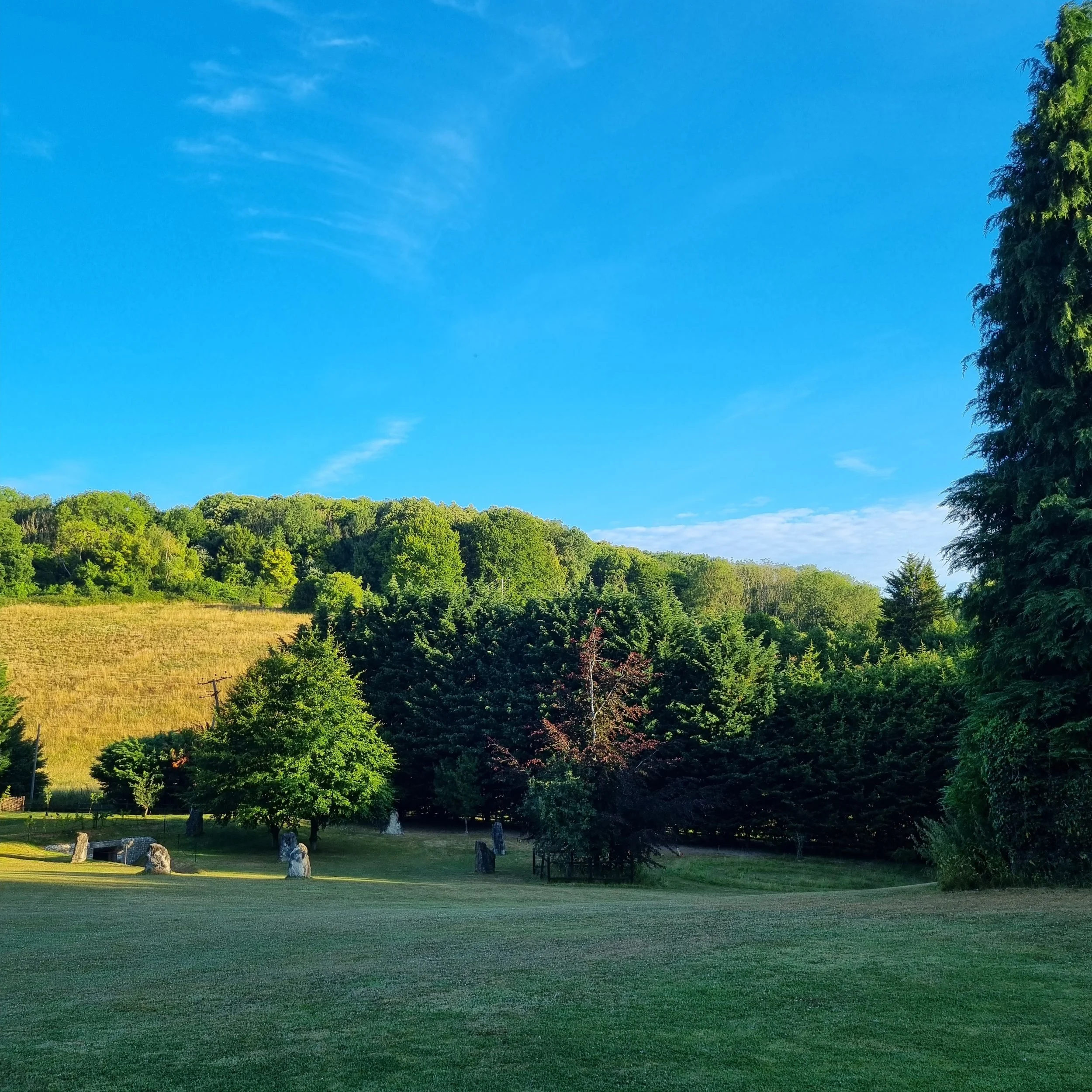 2022-07-15 0620 24.jpg