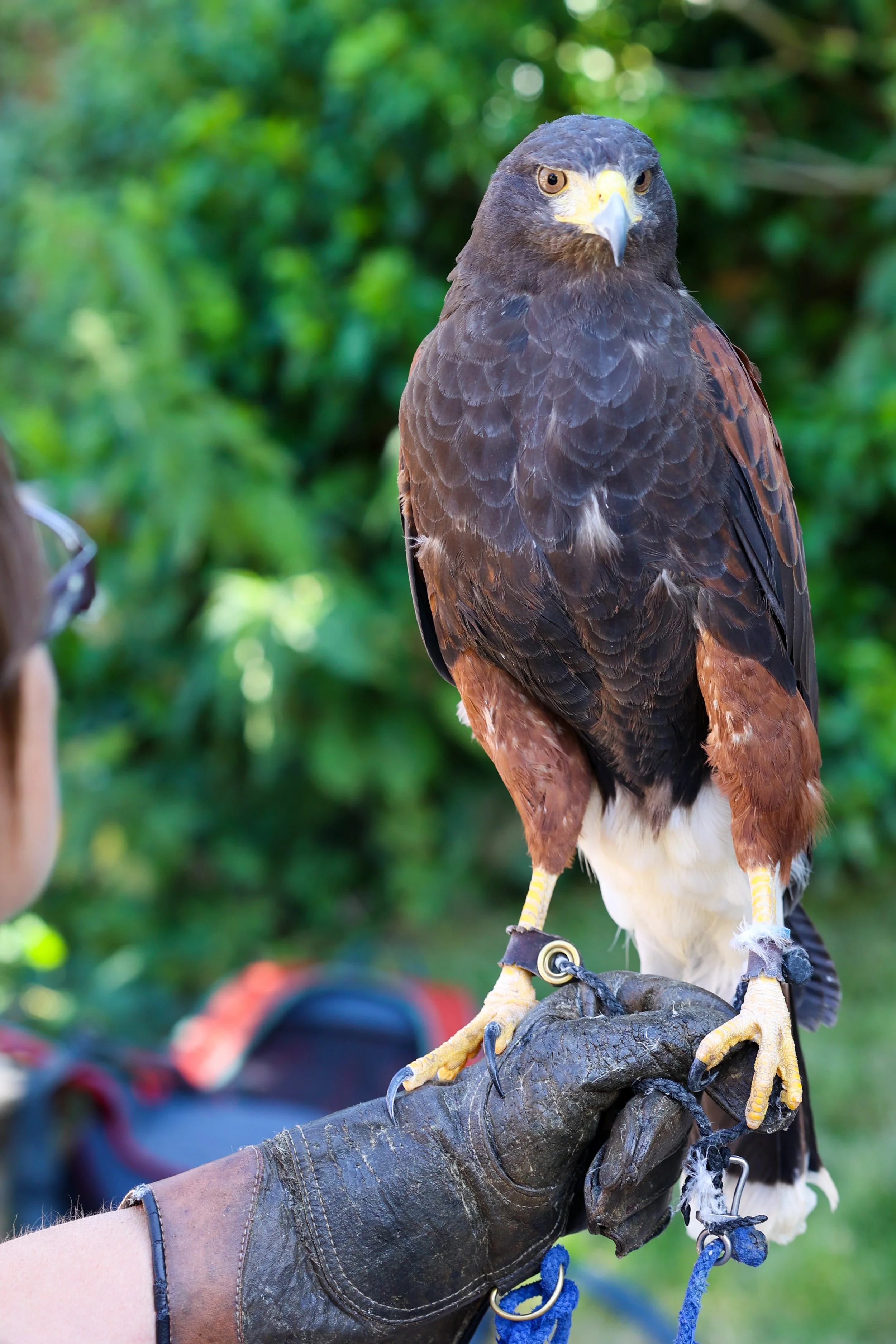 2022-07-16 Andrew and Juliet Dode 16th July 2022-637.jpg