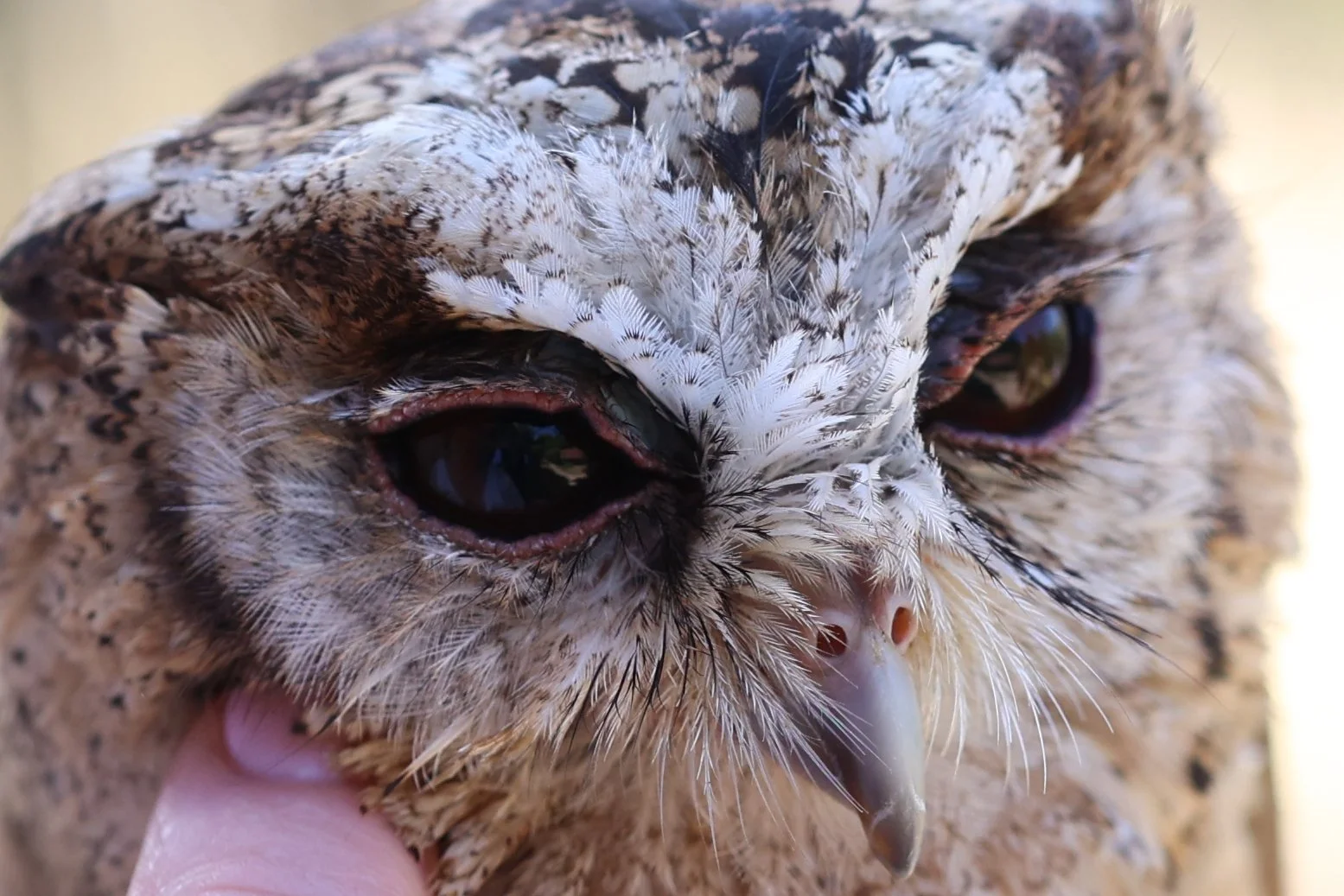 2022-07-16 Andrew and Juliet Dode 16th July 2022-964.jpg