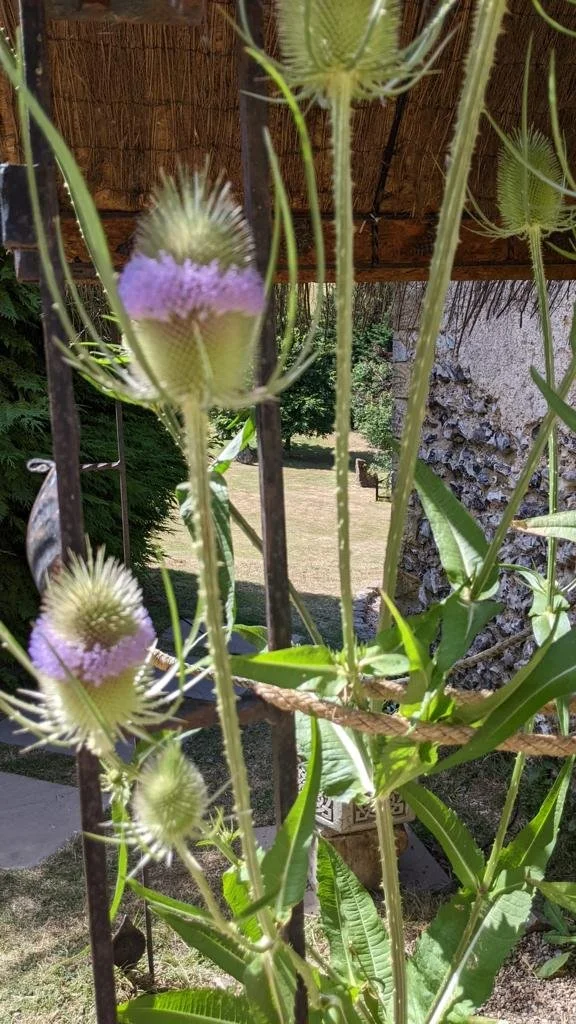 2022-07-16-WA0192.jpg