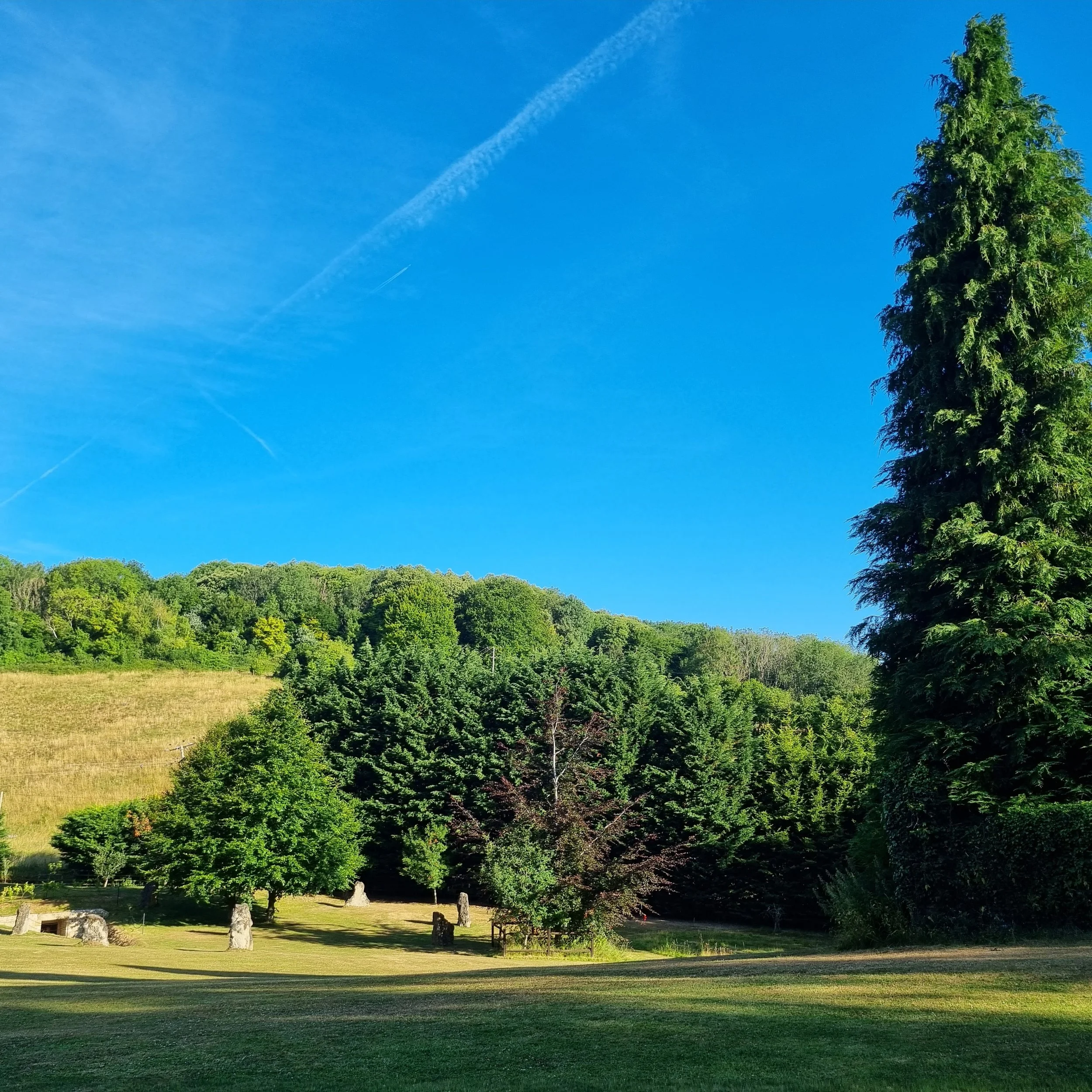 2022-07-16 073525.jpg