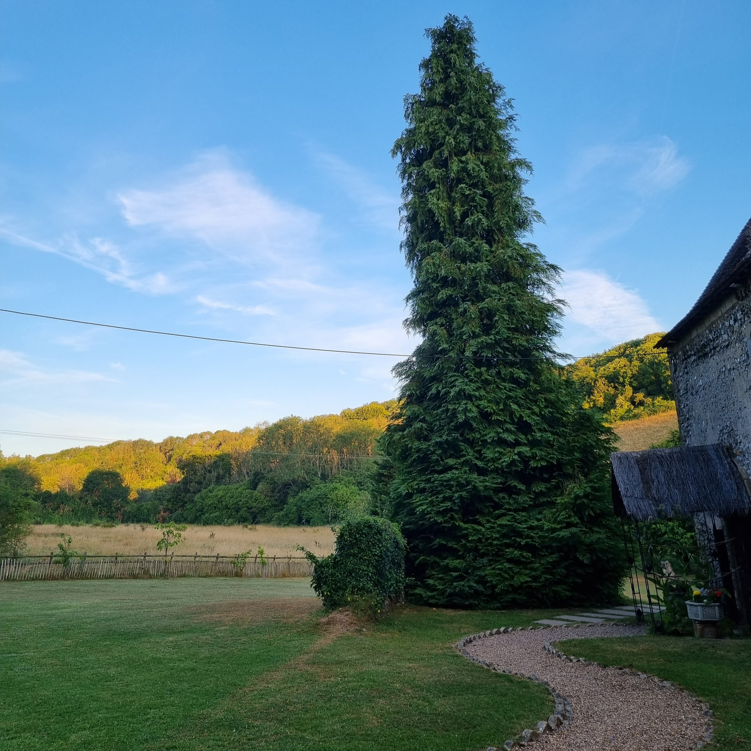 2022-07-15 0532 27.jpg