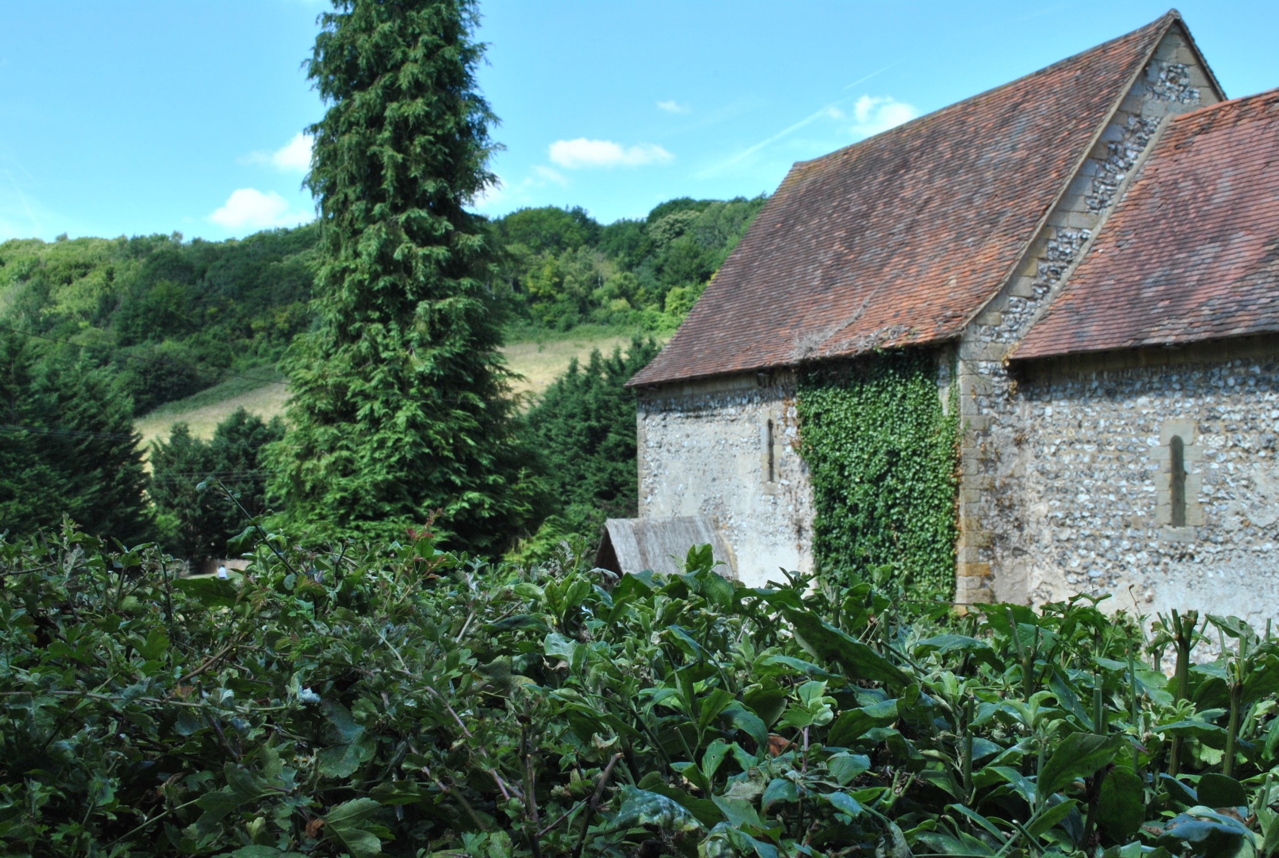 2022-07-16 1226 DSC_0170.JPG