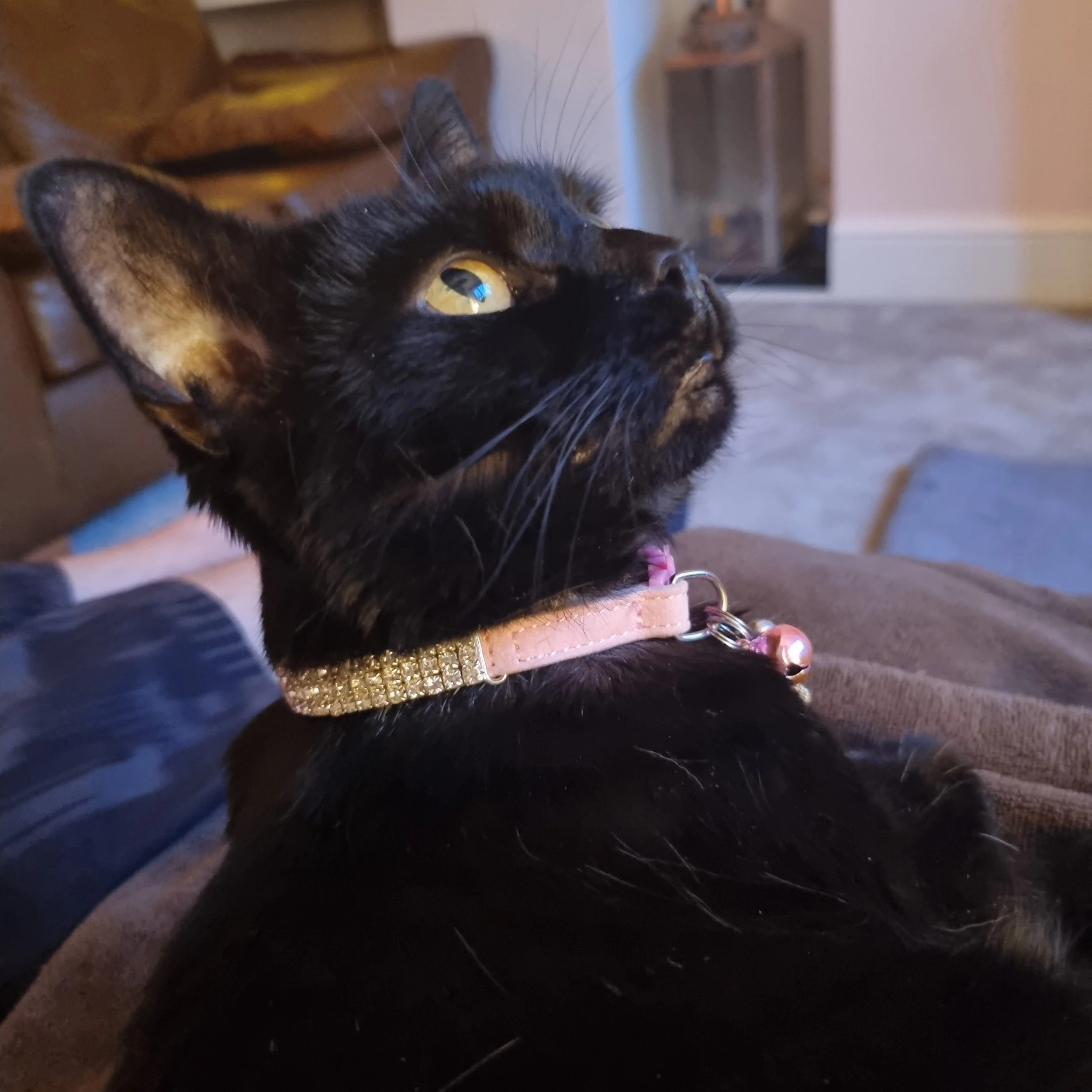 2022-07-17 211408.jpg