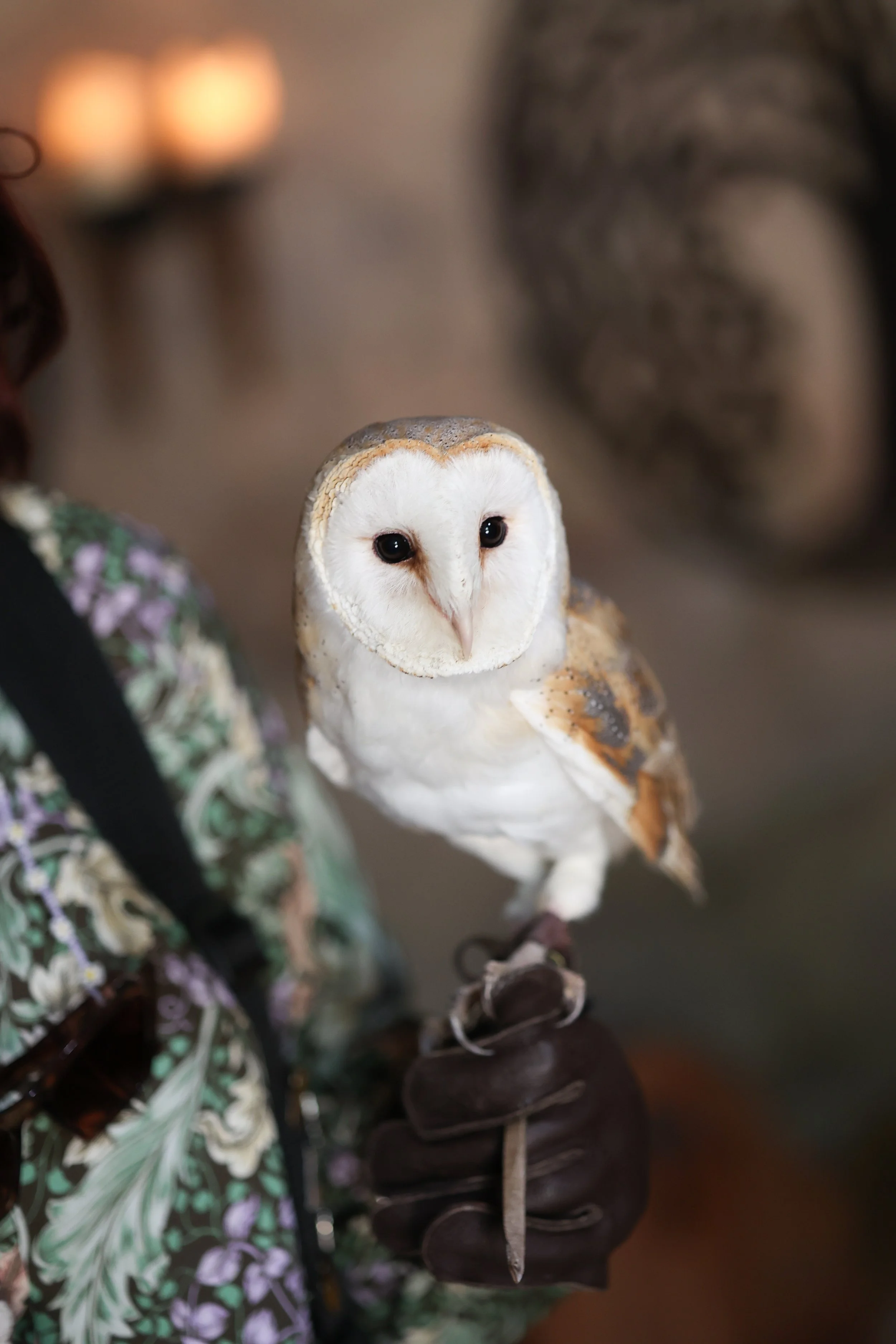 2022-07-16 Andrew and Juliet Dode 16th July 2022-92.jpg