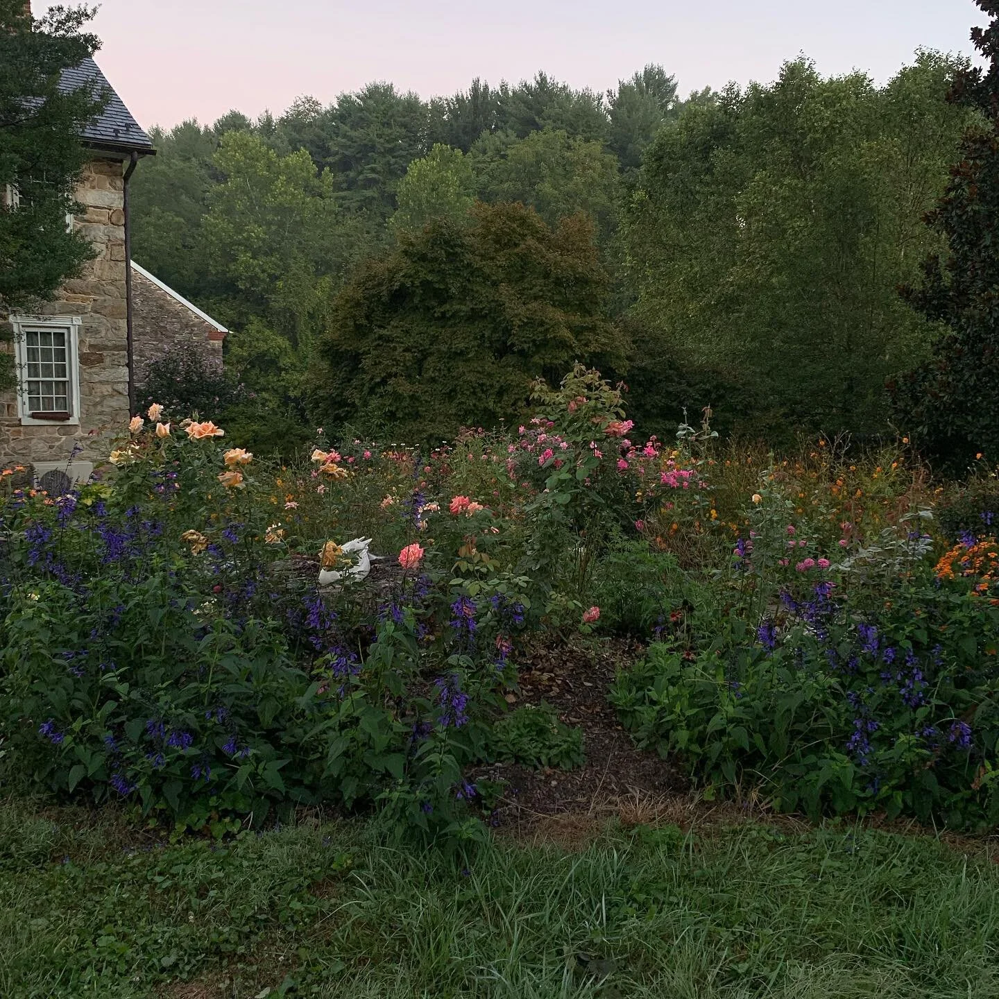 Everyone can suck it.