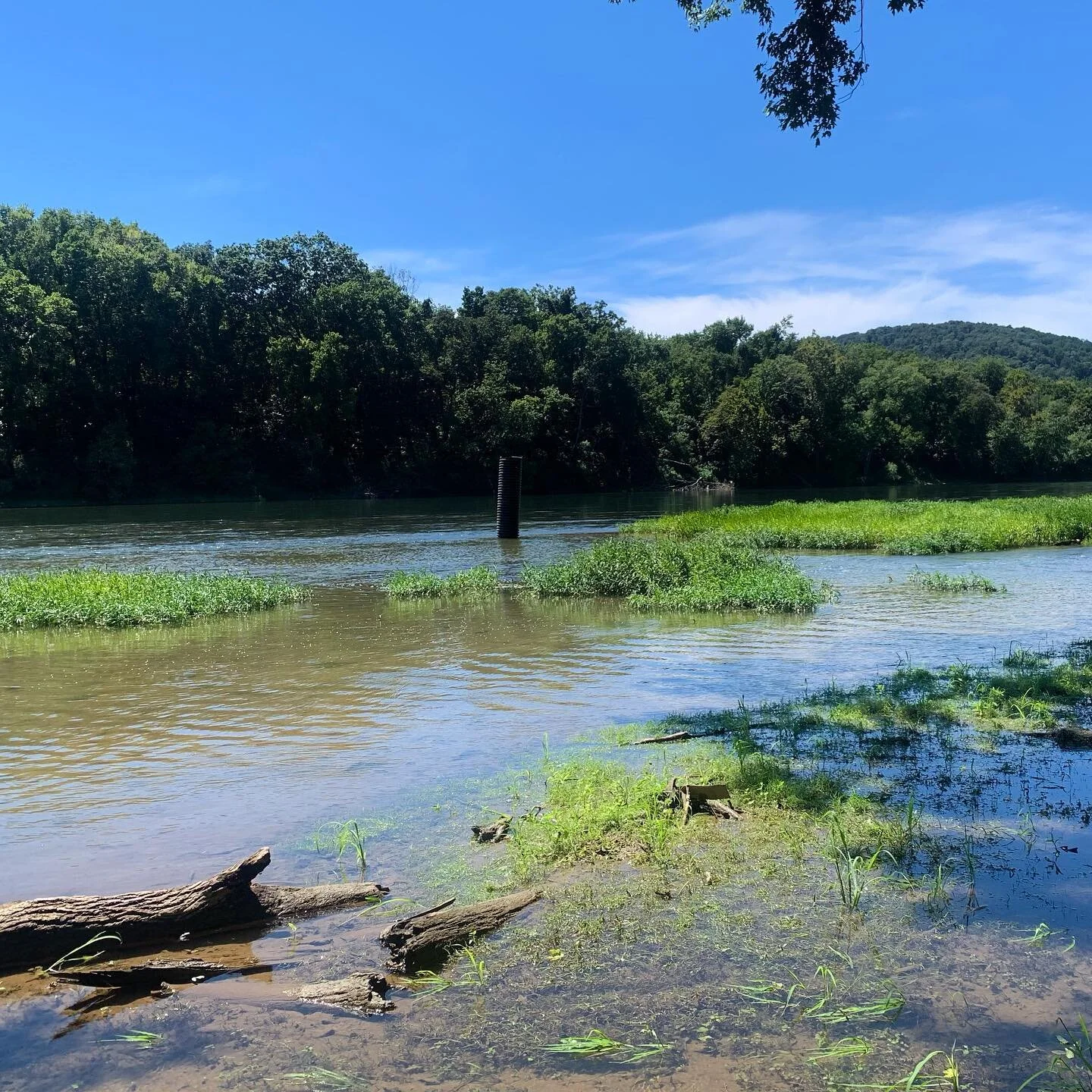 My collaborative piece with @maywaytotheface. We stool this 10ft tube up in a river.