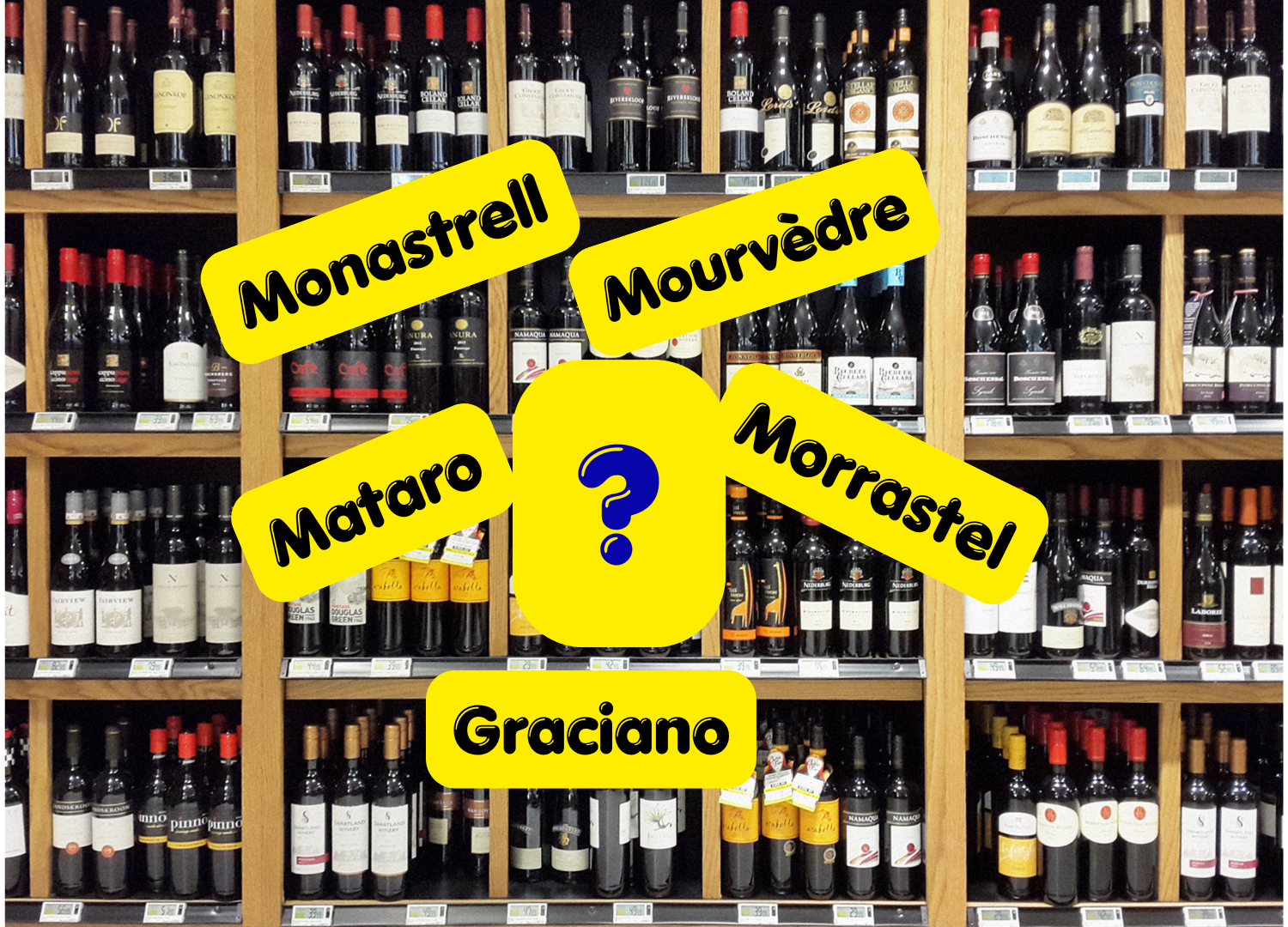 wine store with wine names in yellow with blue question mark