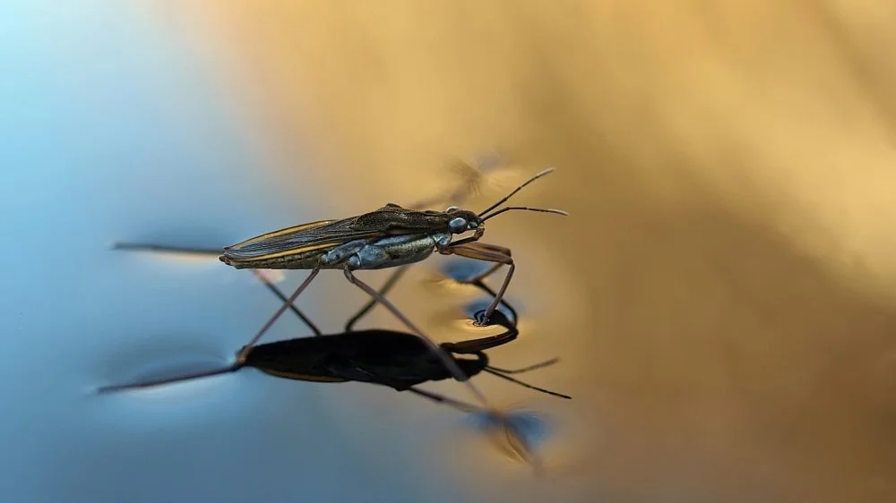 Tension is meant to move you, not to break you.