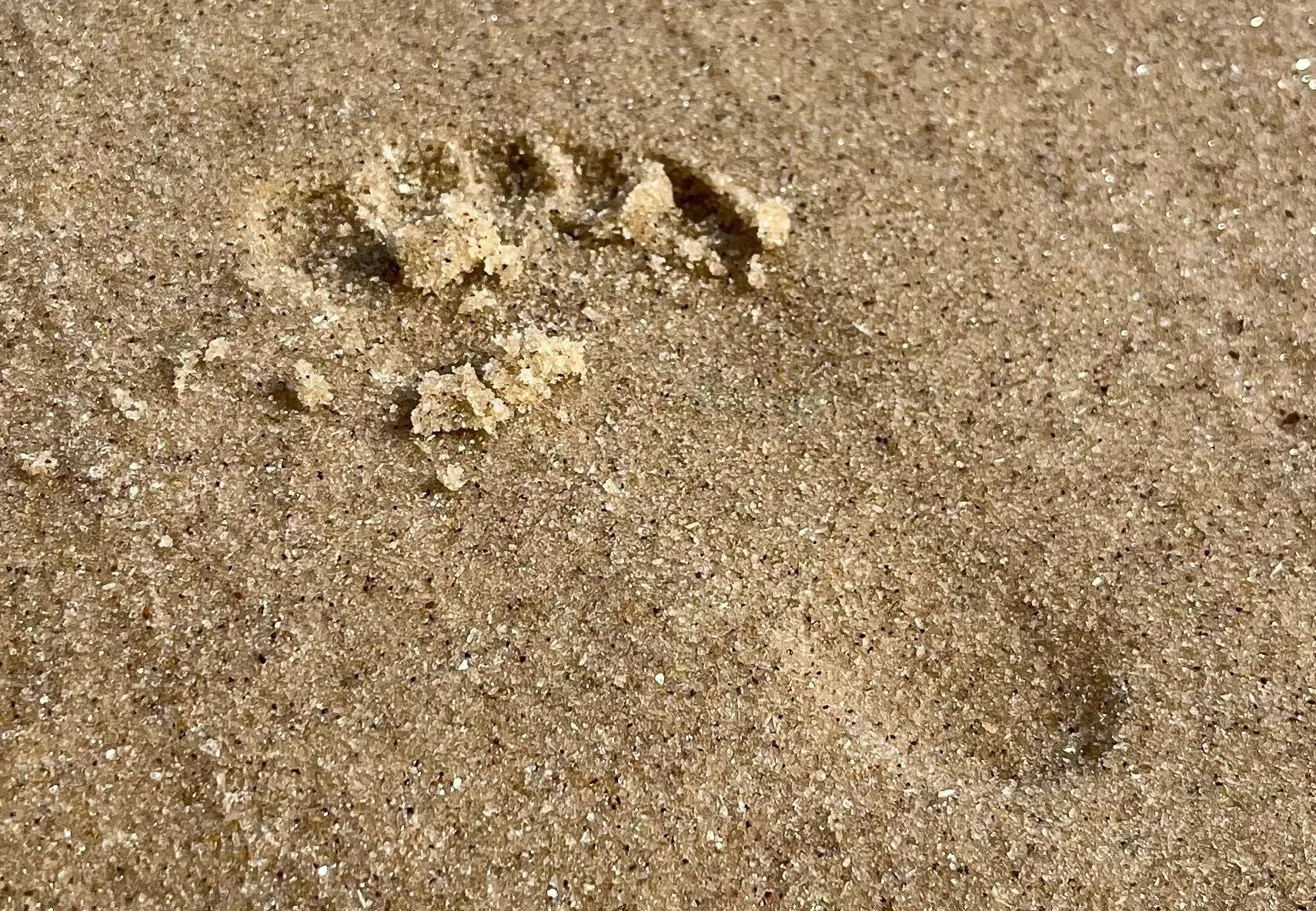 Grieving a loss that wasn’t…