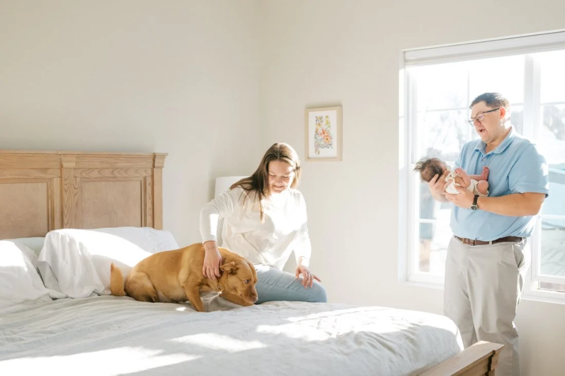 Lifestyle family portraits with dogs capturing parents relaxing on bed with newborn and dog in soft natural light