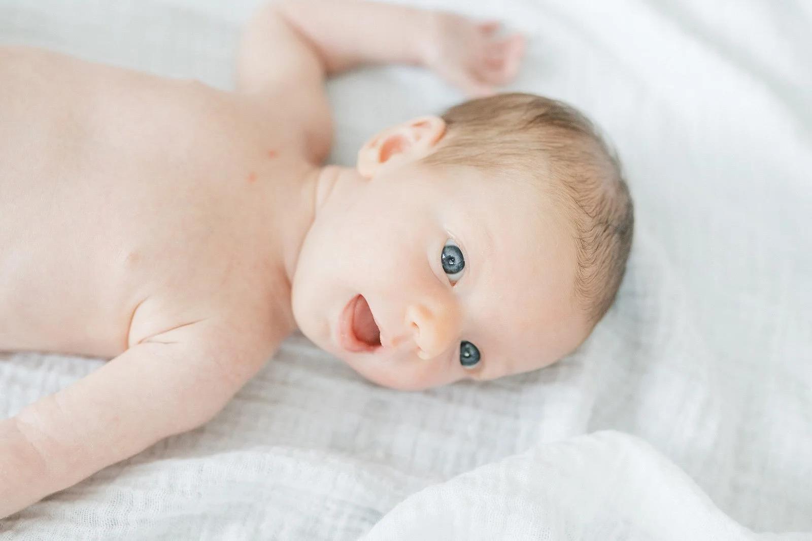 Baby awake laying on a blanket in the natural light - Raleigh Newborn Photographer