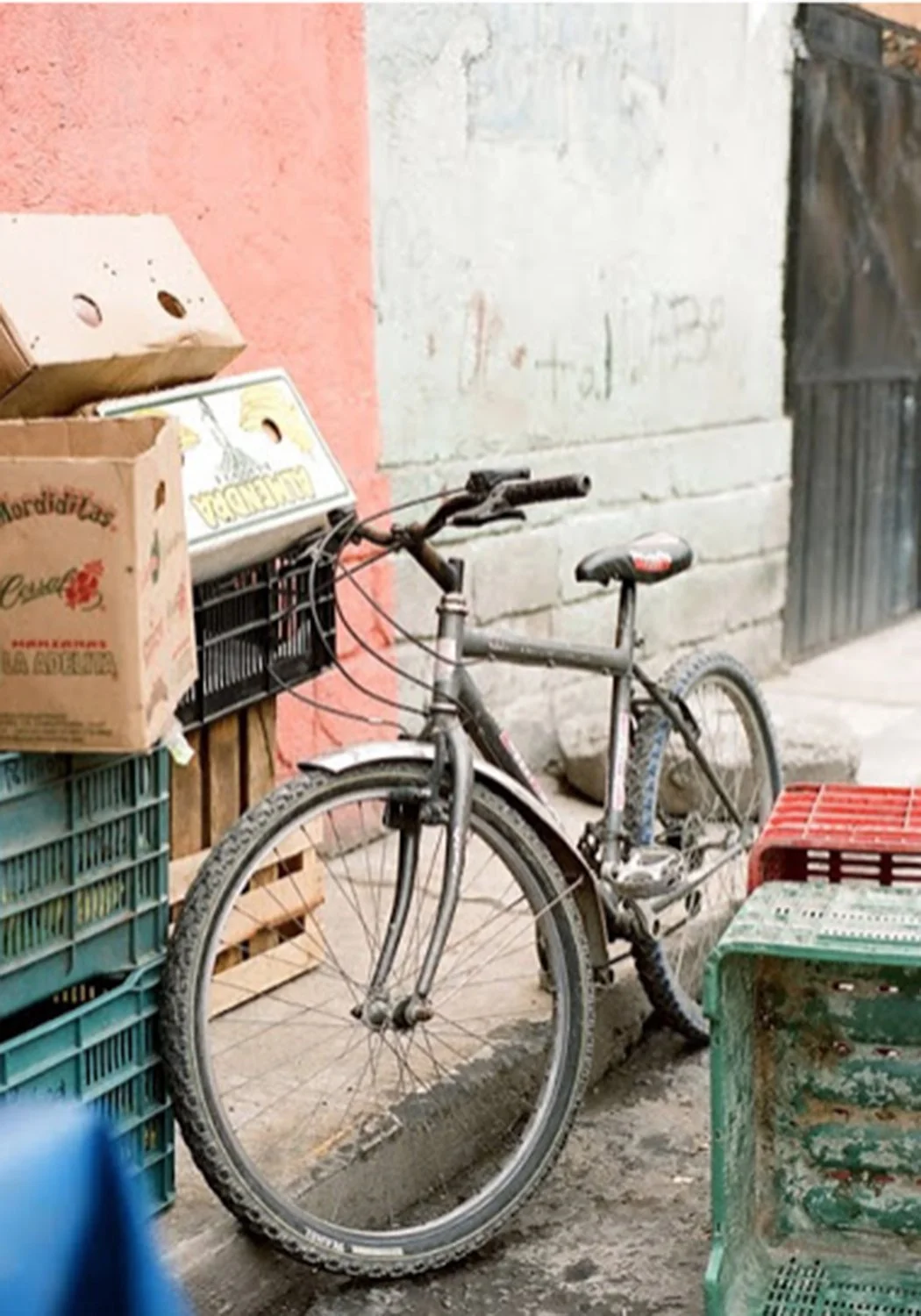 Allison Corona photographer Boise Idaho Travel