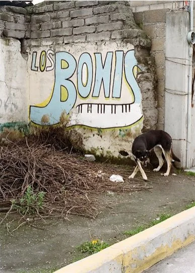 Allison Corona photographer Boise Idaho Travel