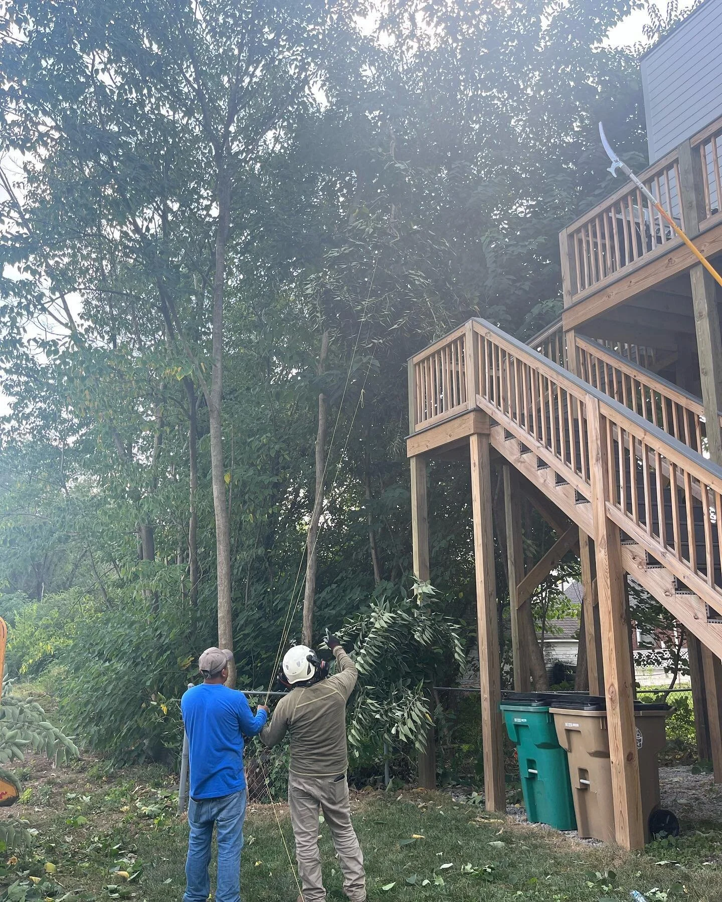 My Tree Guy TN | Nashville Tree Service | Tree Removal | Stump Grinding