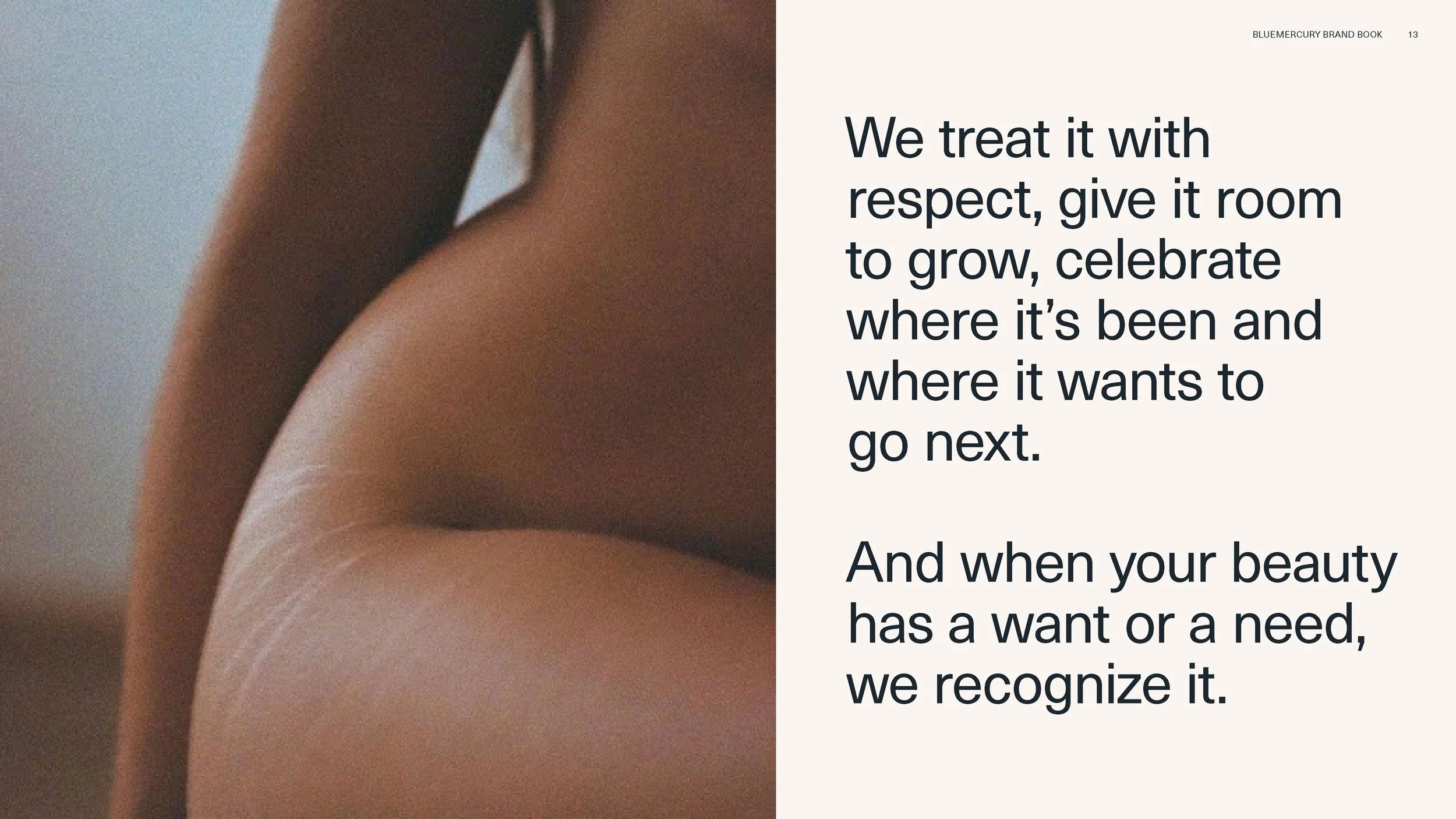 BLUEMERCURY_BRAND_BOOK_08172022_HI_Page_13.jpg