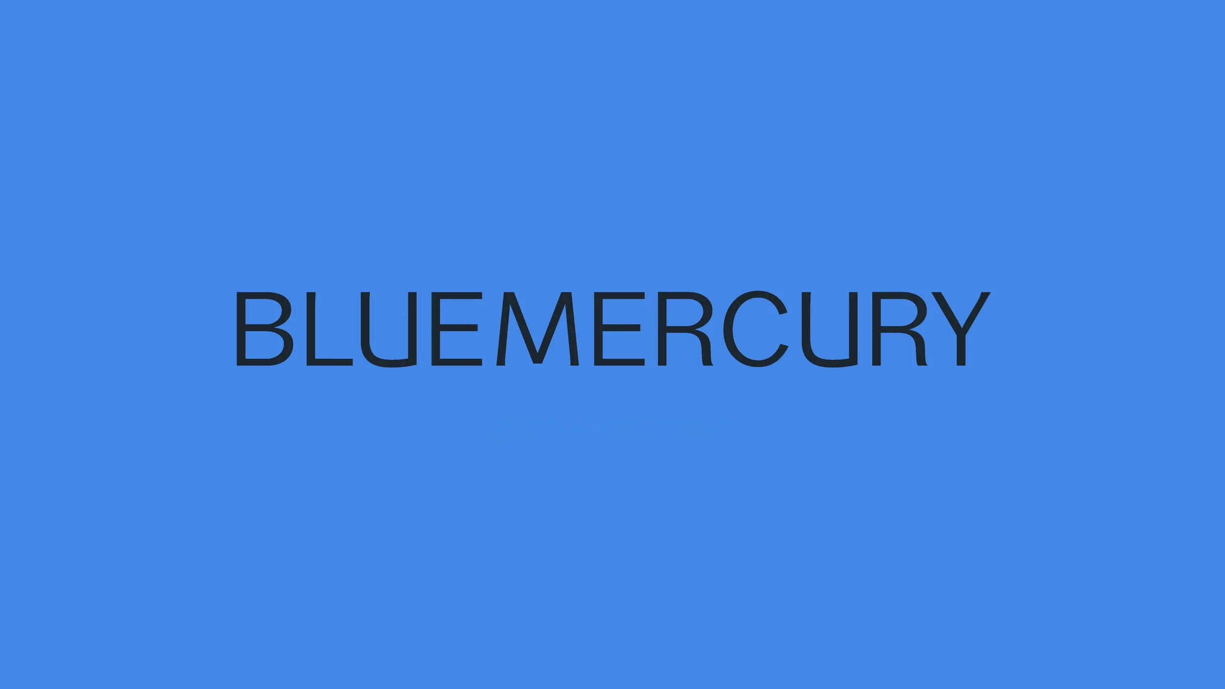 BLUEMERCURY_BRAND_BOOK_08172022_HI_Page_01.jpg