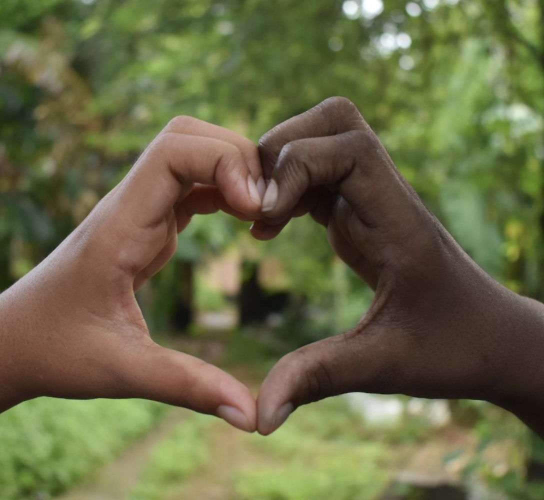 Screen Shot 2022-09-21 at 11.37.04 AM.png