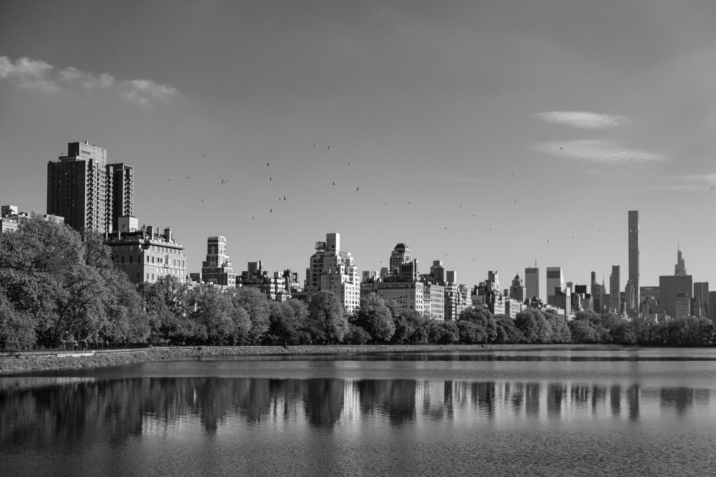 _DSF0981.jpg