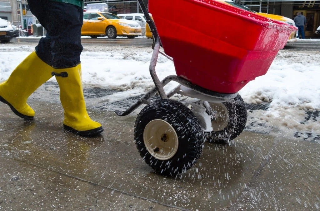 Worker spreading salt on sidewalk.