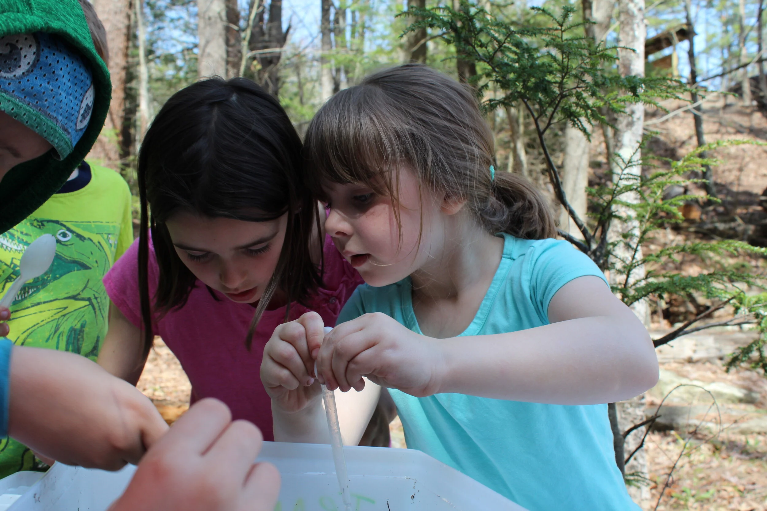 2019 Capisic Watershed Classroom Programs