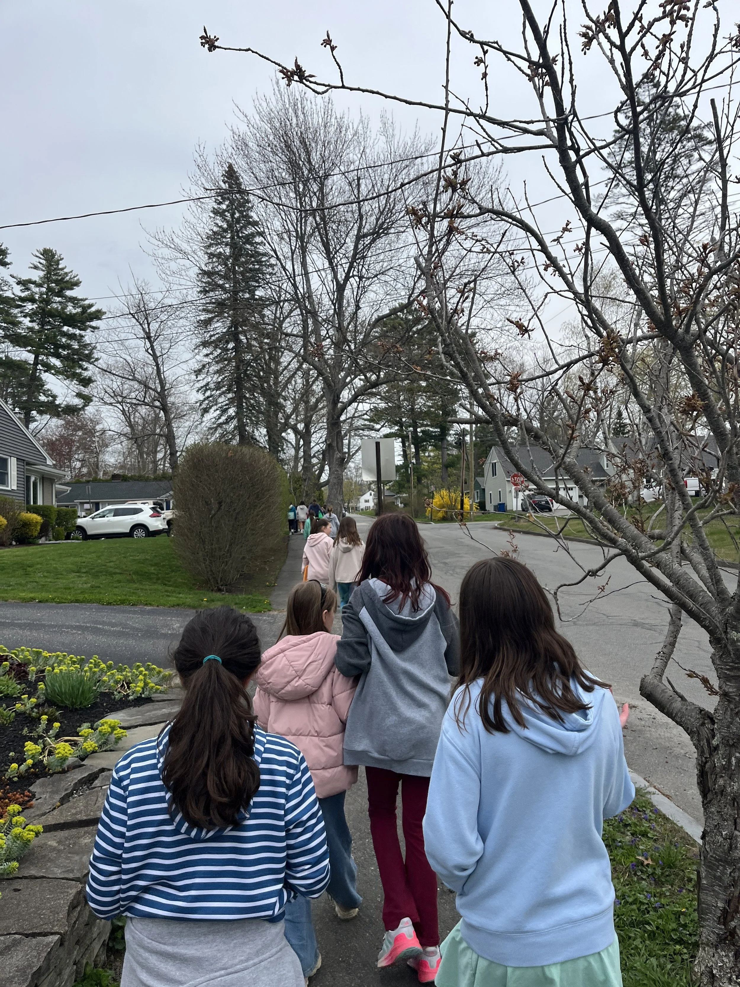Following the Stormwater Flow