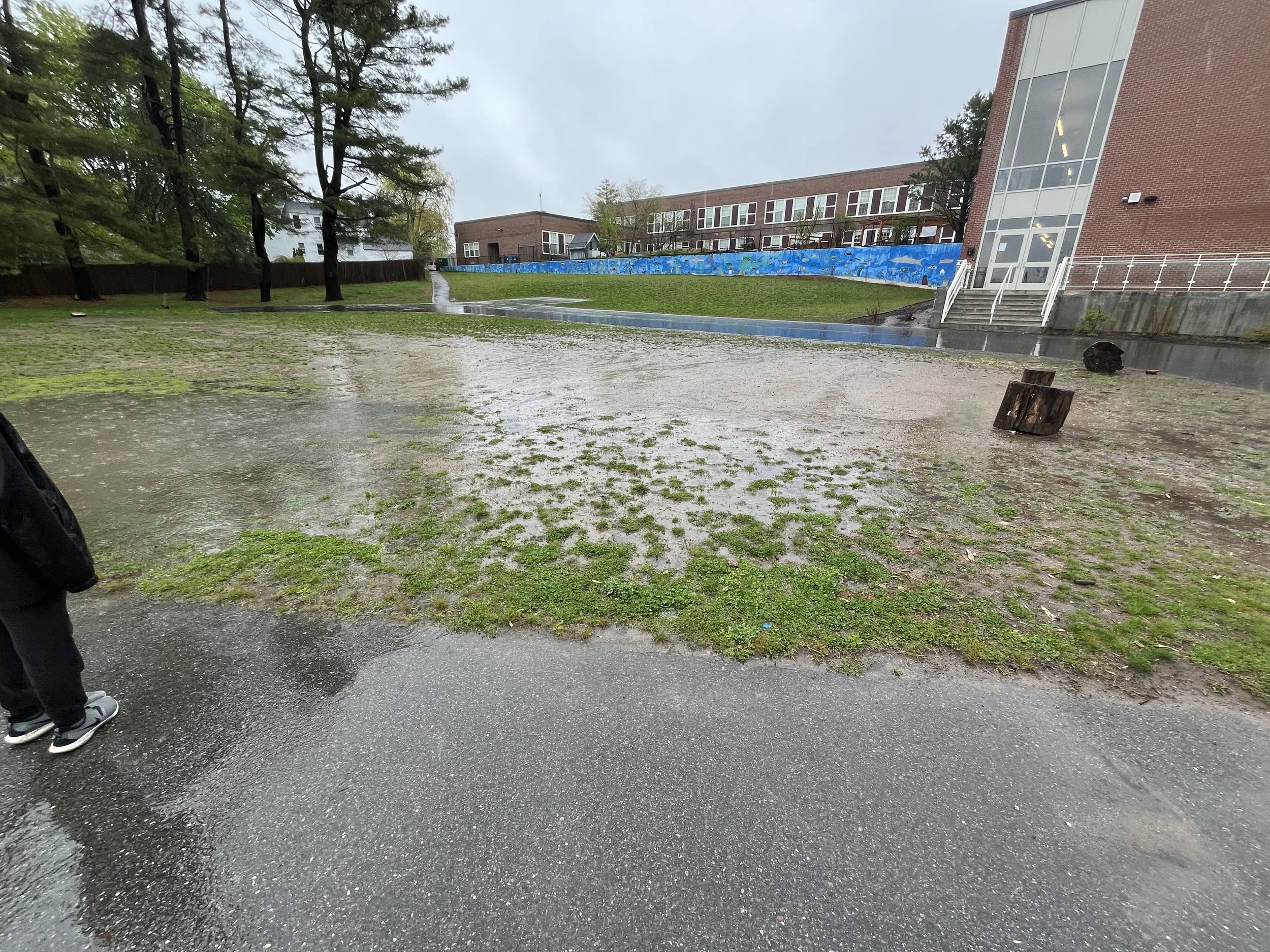 Longfellow Students Investigate Schoolyard Stormwater Issues