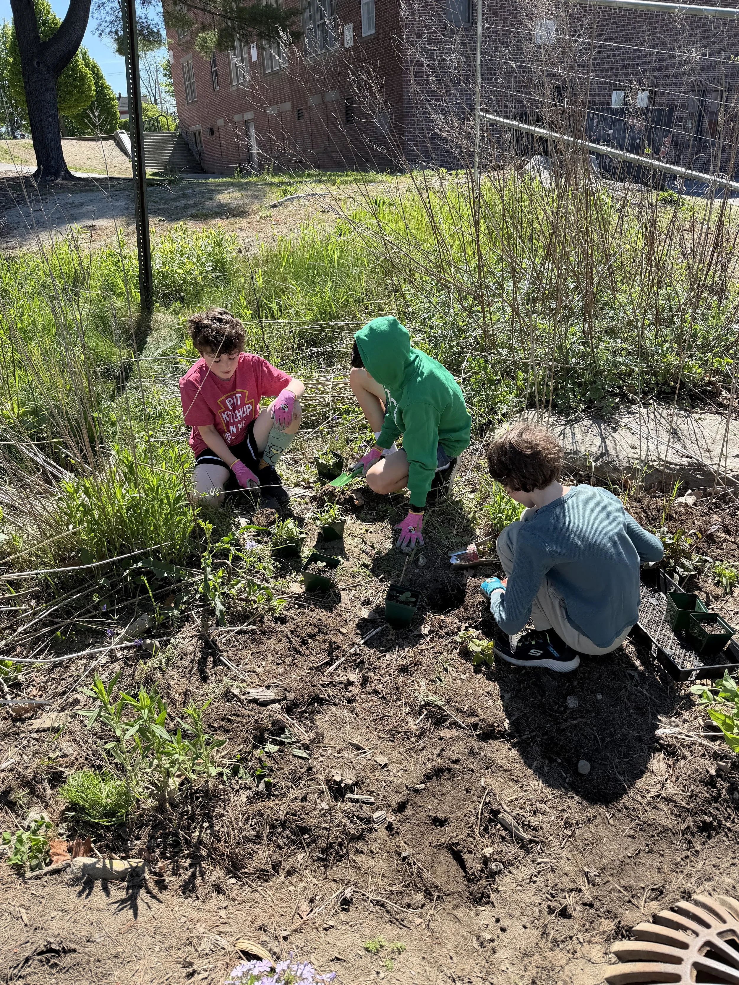 Longfellow Students Research Connections Between Gardening and Stormwater