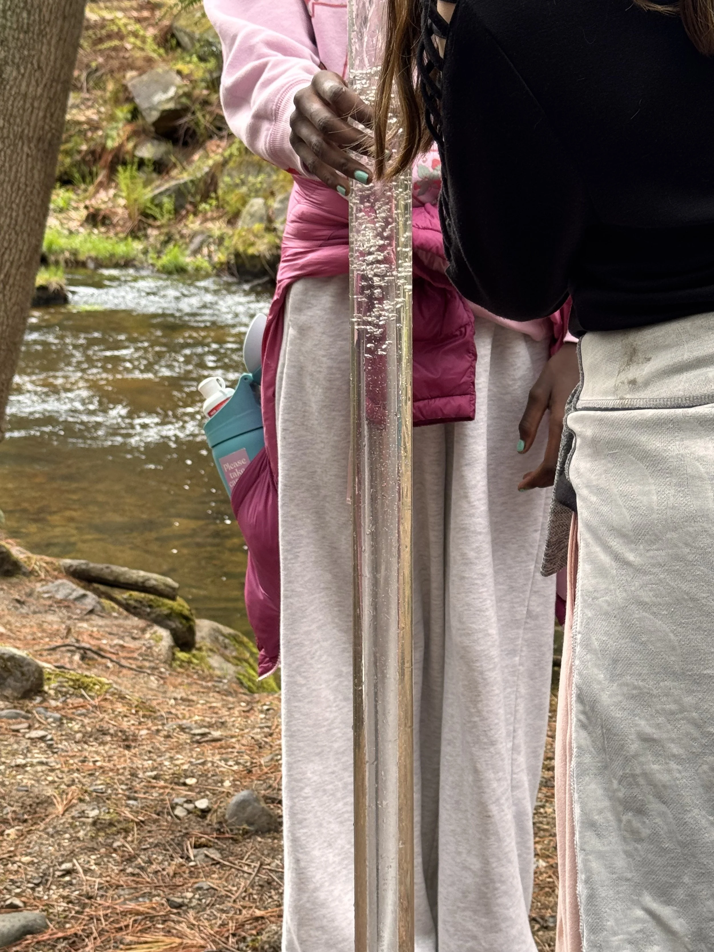Portland Middle Schoolers Release Brook Trout in Local Stream