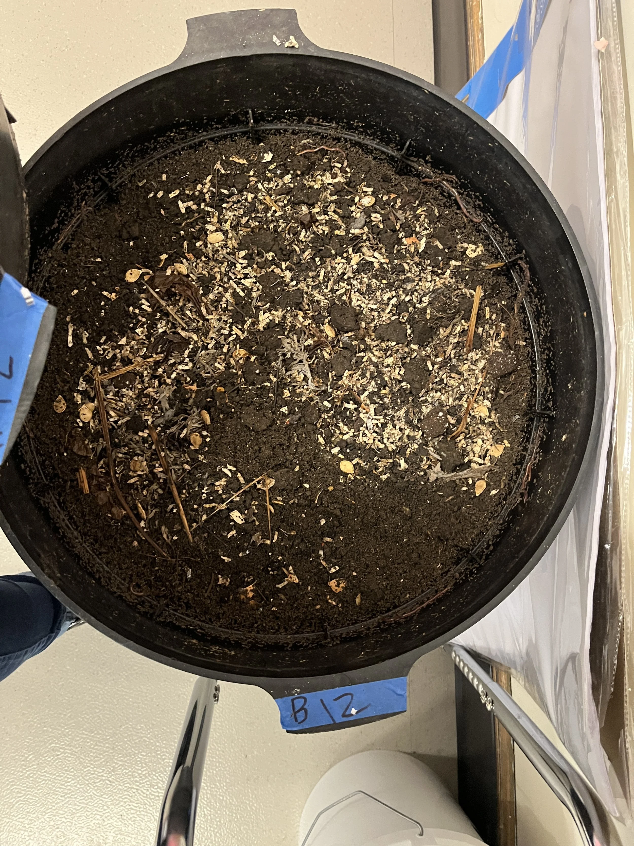 A almost fully decomposed vermicompost bin layer.