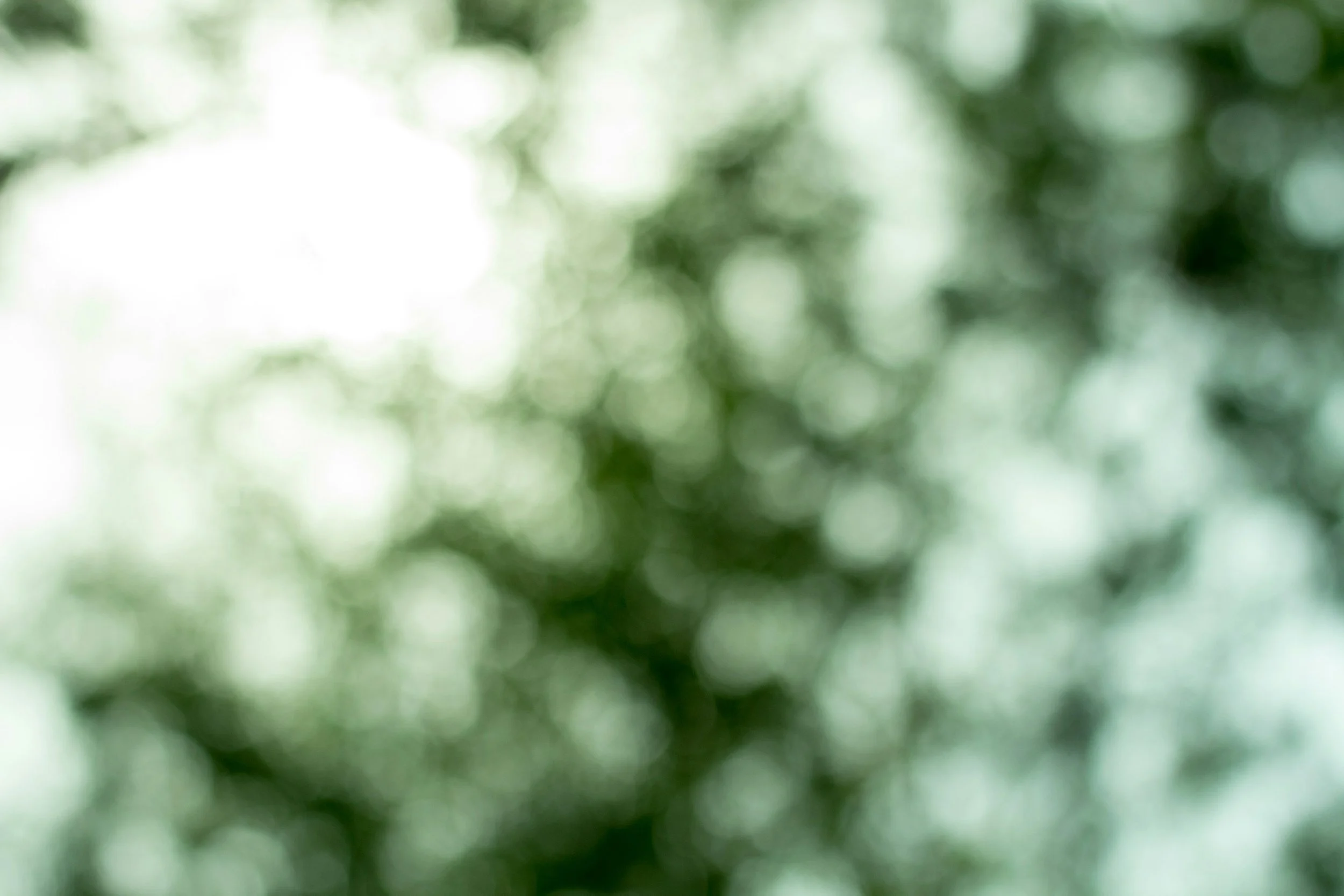 Annual Congregation Meeting