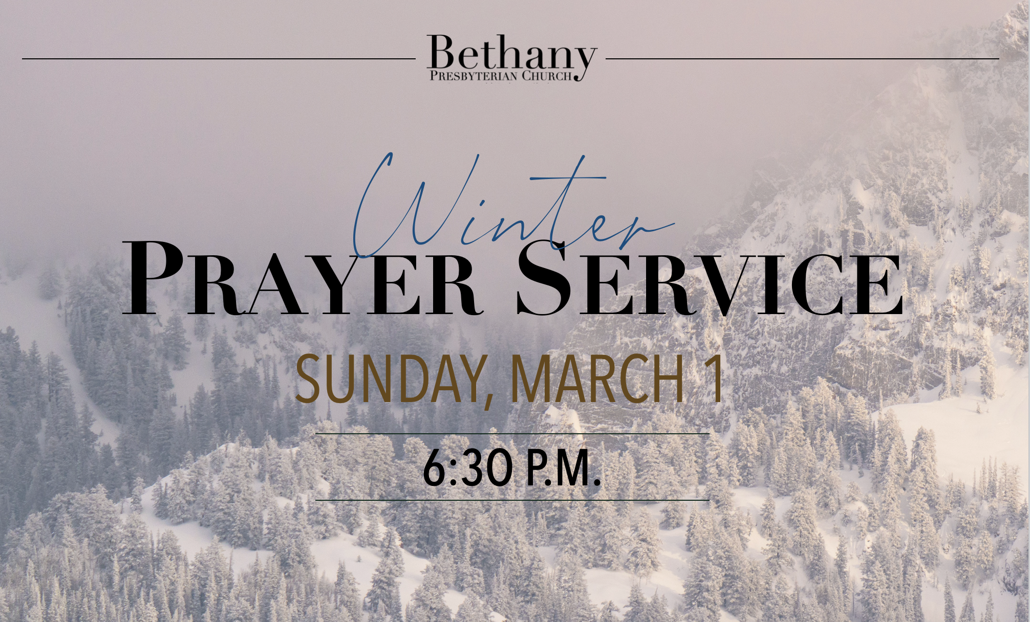 Screenshot 2026-02-22 at 3.19.29 PM.png