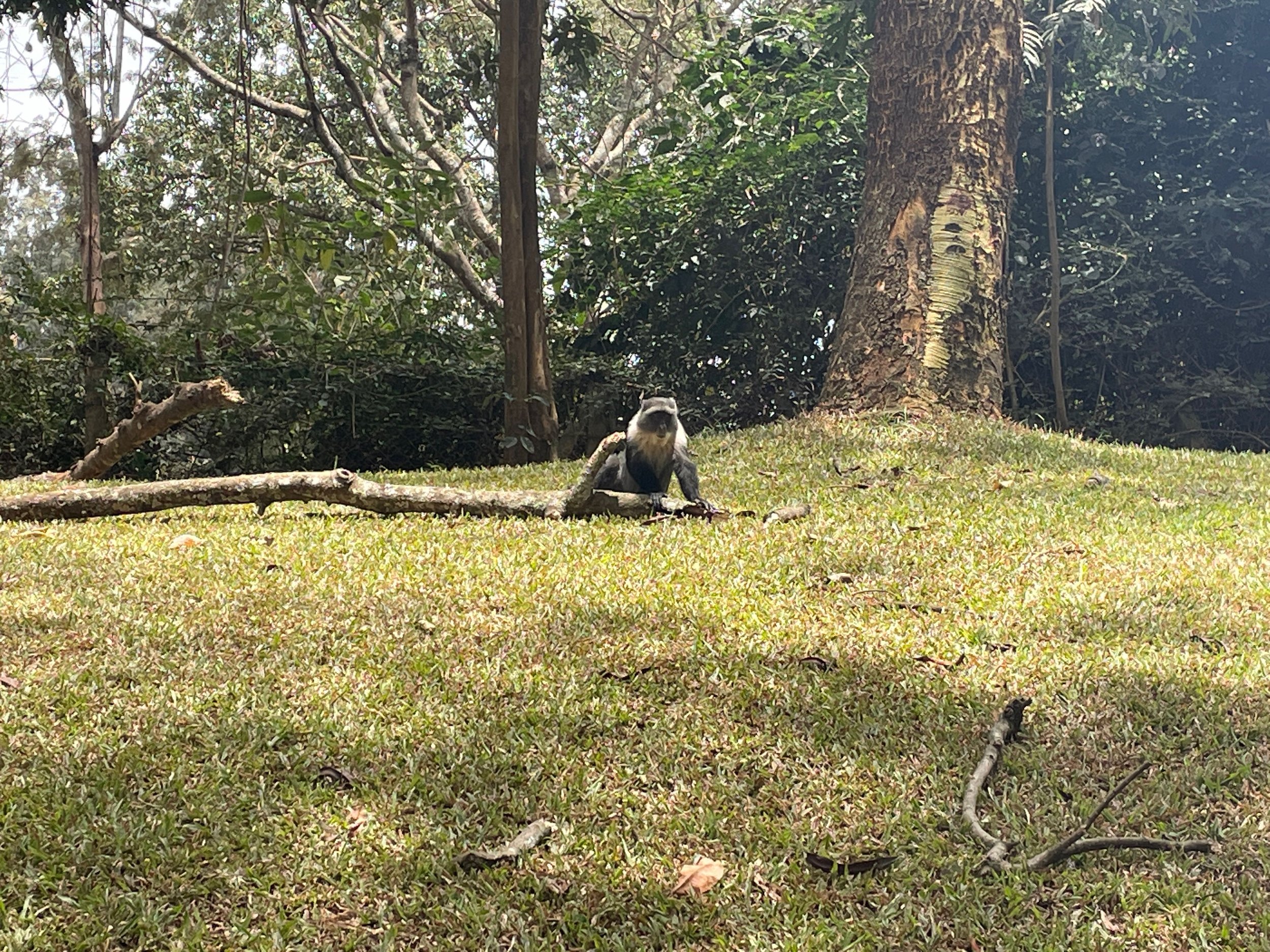 IMG_6018.jpeg