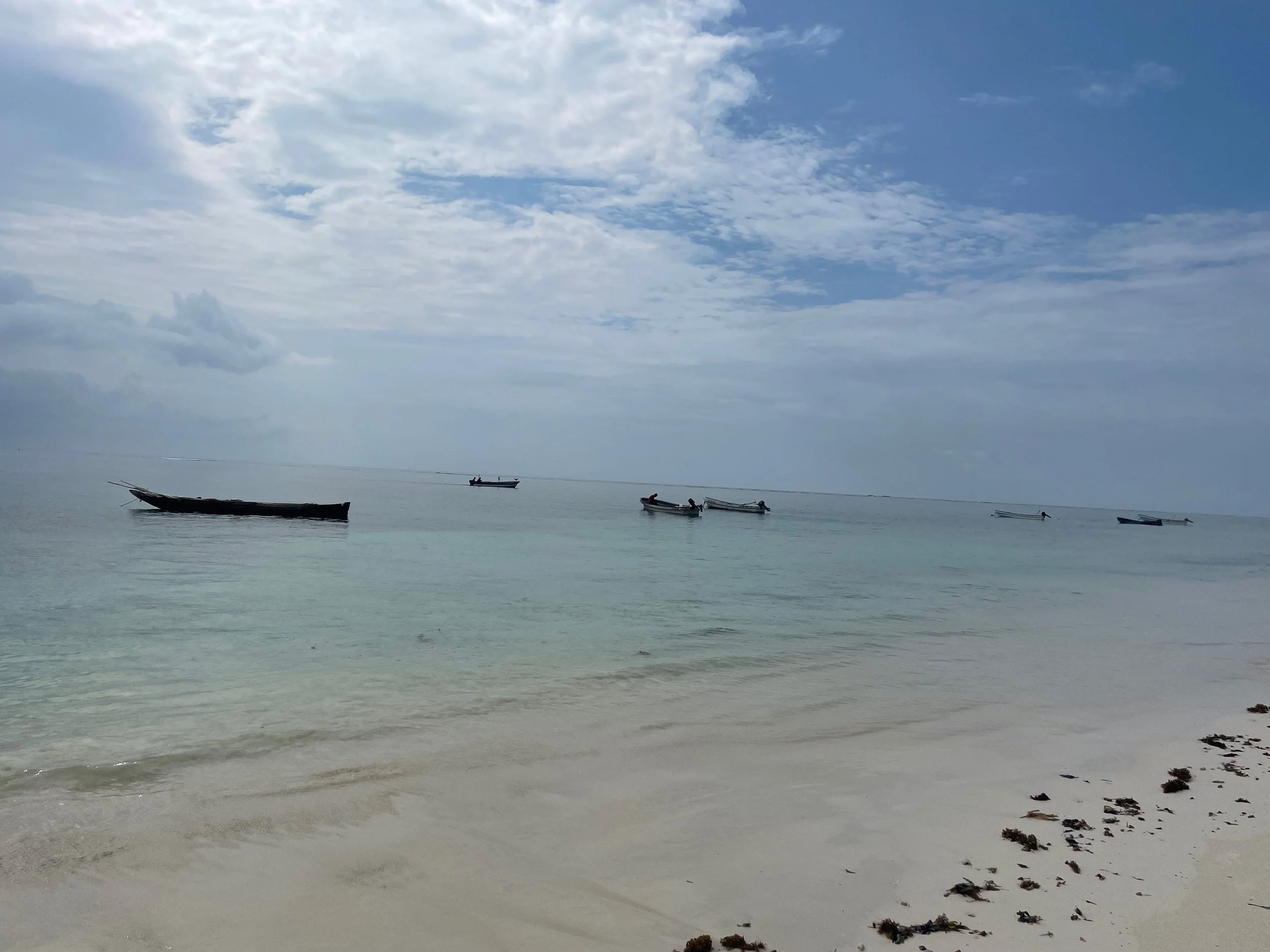 IMG_7618.jpeg
