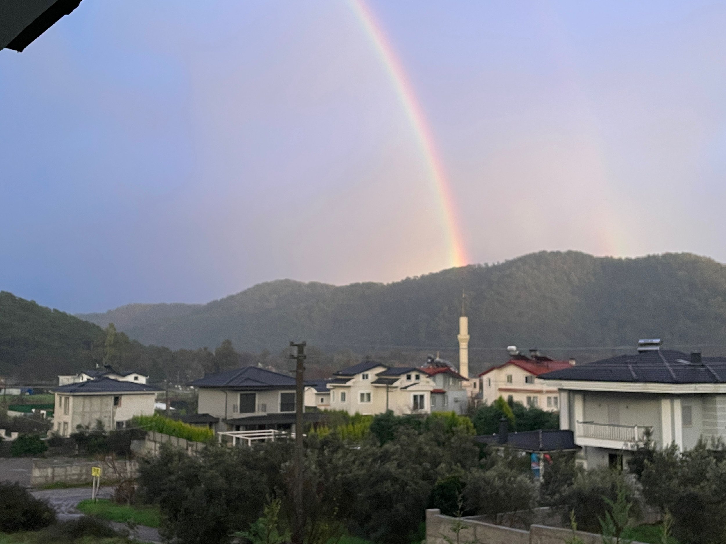 IMG_0122.jpeg