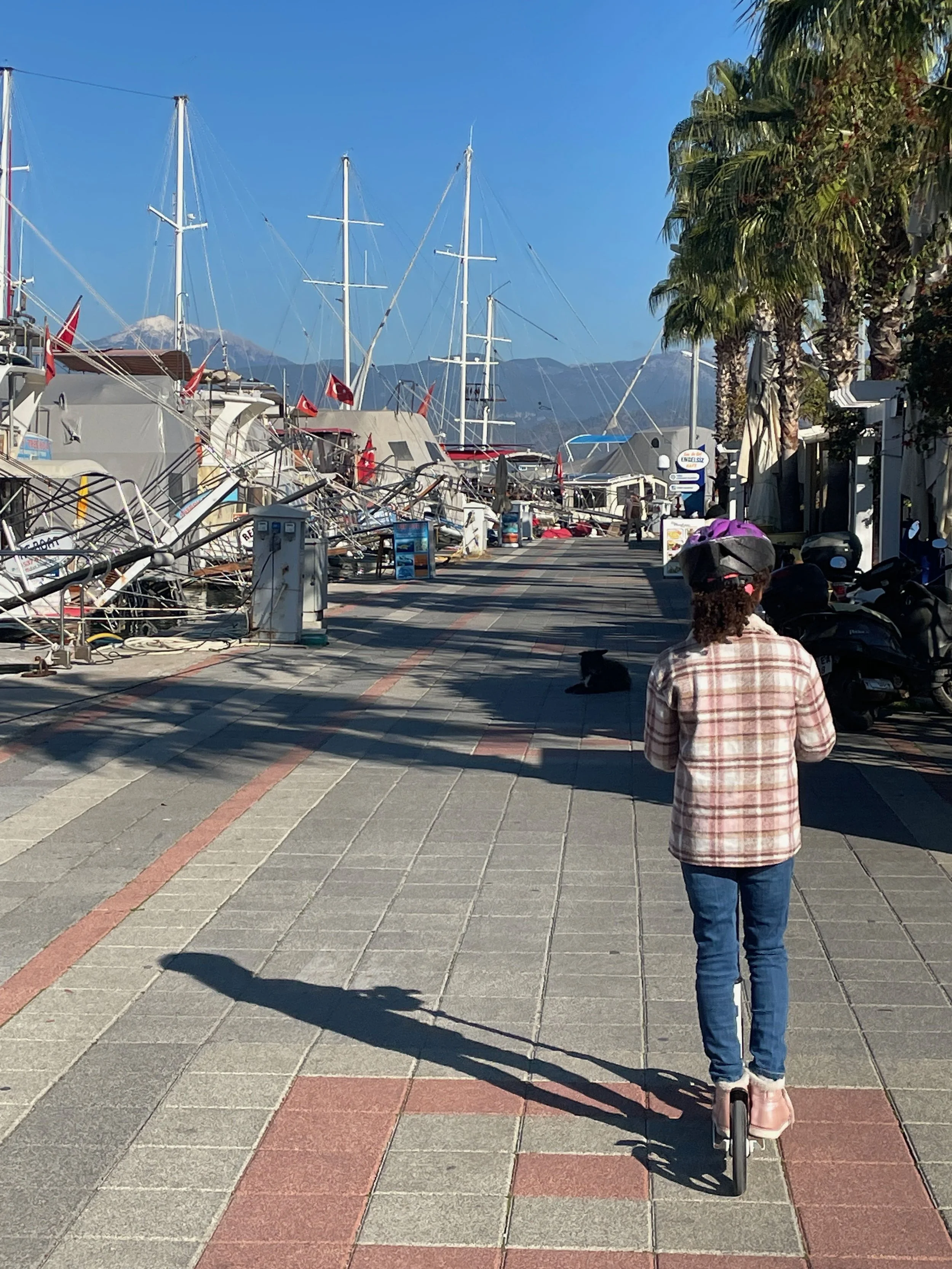IMG_9511.jpeg