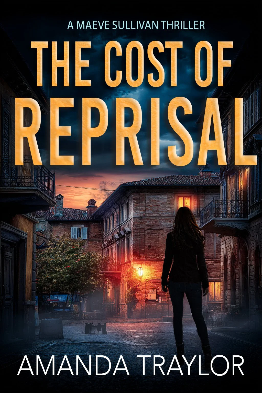 The Cost of Reprisal copy.jpg