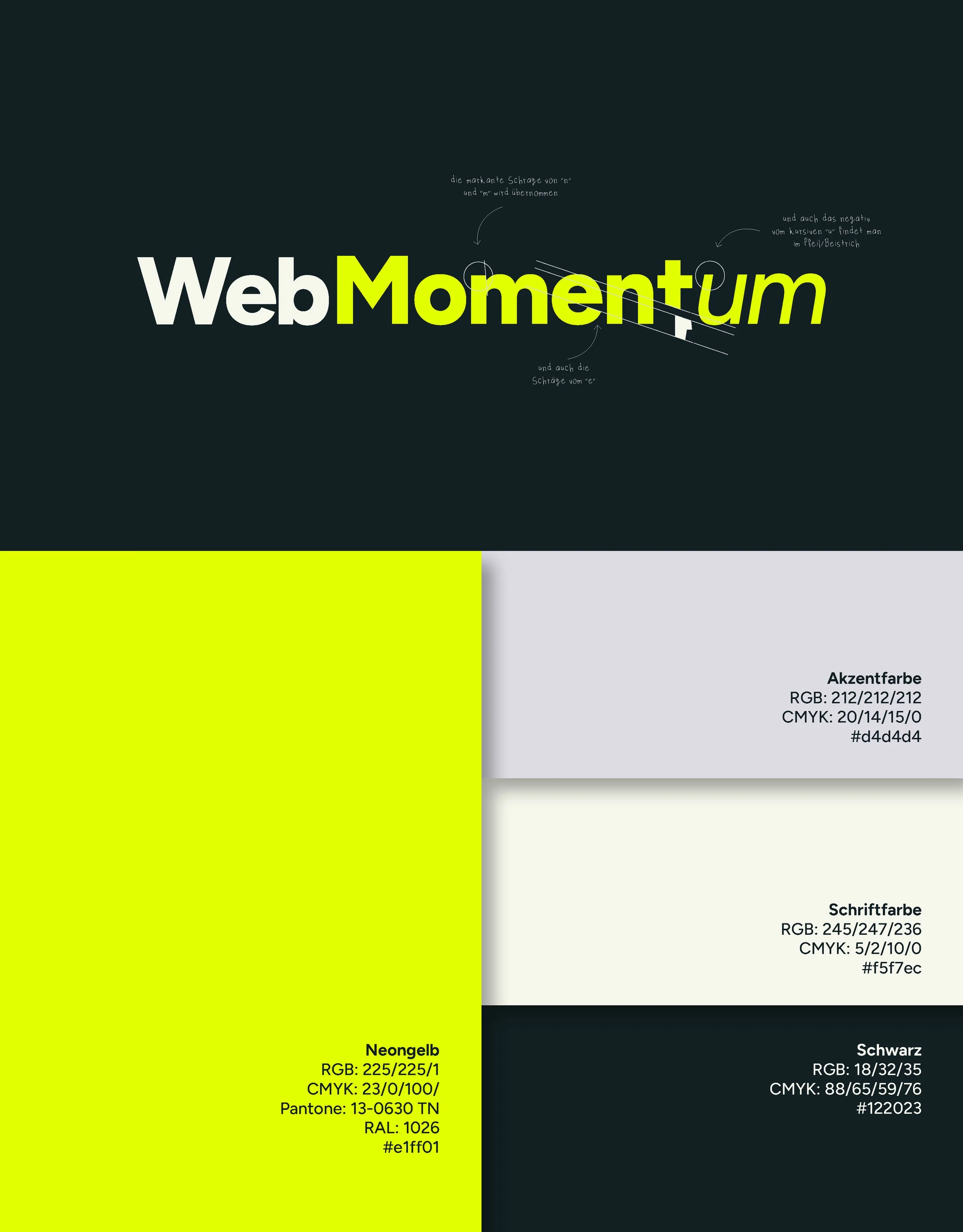 WebMomentum-fin2.jpg